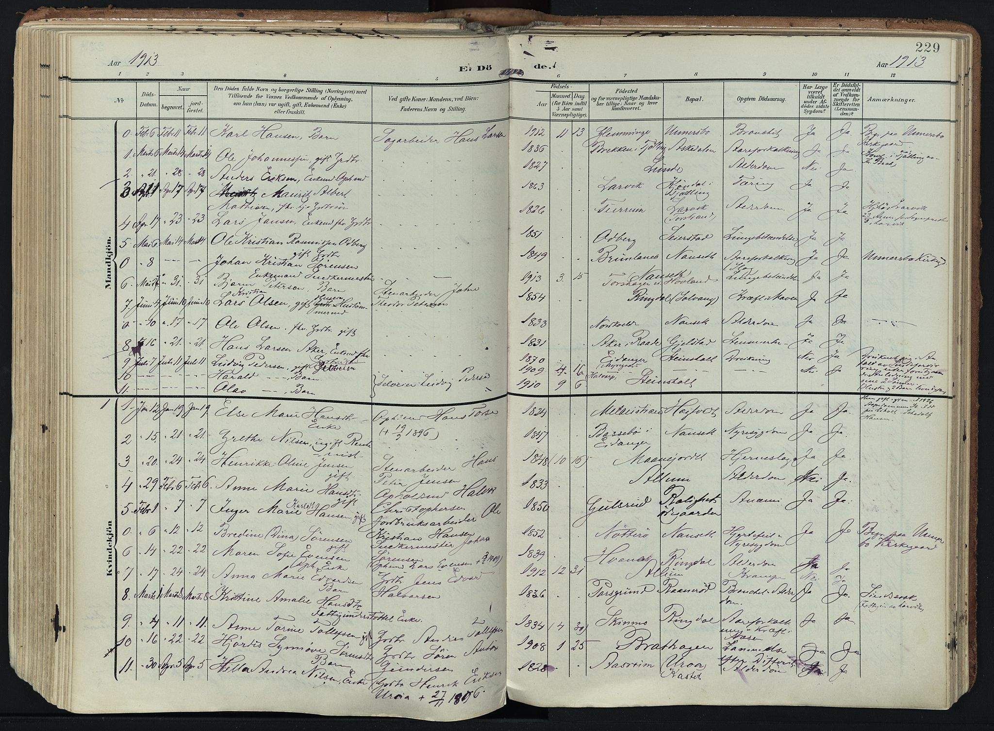 Hedrum kirkebøker, SAKO/A-344/F/Fa/L0010: Parish register (official) no. I 10, 1904-1918, p. 229