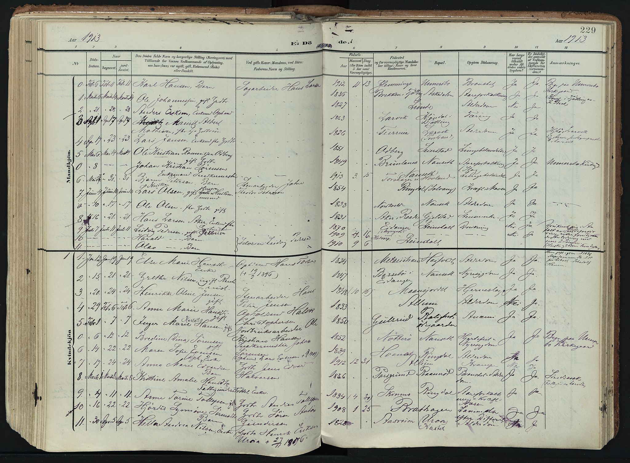 Hedrum kirkebøker, AV/SAKO-A-344/F/Fa/L0010: Parish register (official) no. I 10, 1904-1918, p. 229