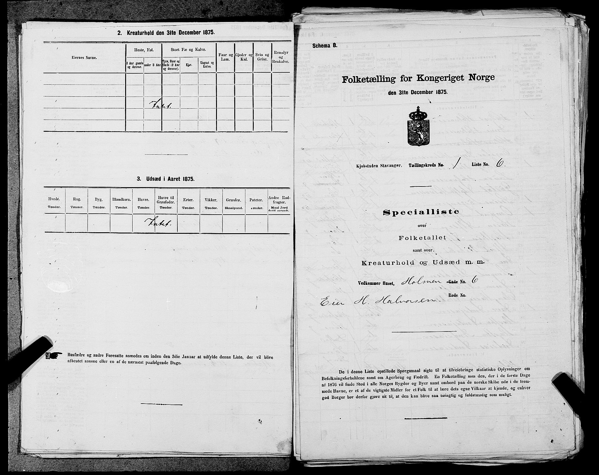 SAST, 1875 census for 1103 Stavanger, 1875, p. 11