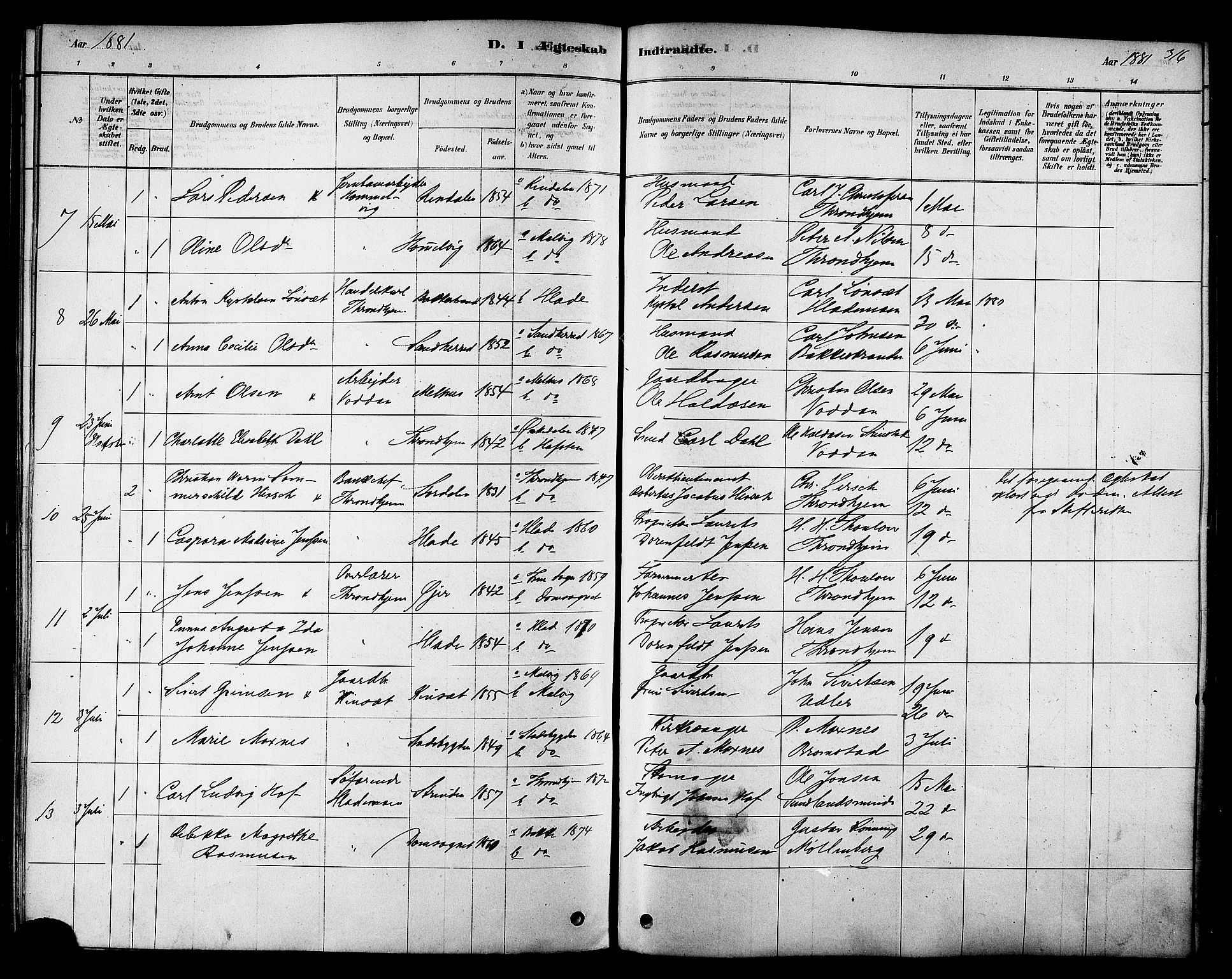 Ministerialprotokoller, klokkerbøker og fødselsregistre - Sør-Trøndelag, SAT/A-1456/606/L0294: Parish register (official) no. 606A09, 1878-1886, p. 316