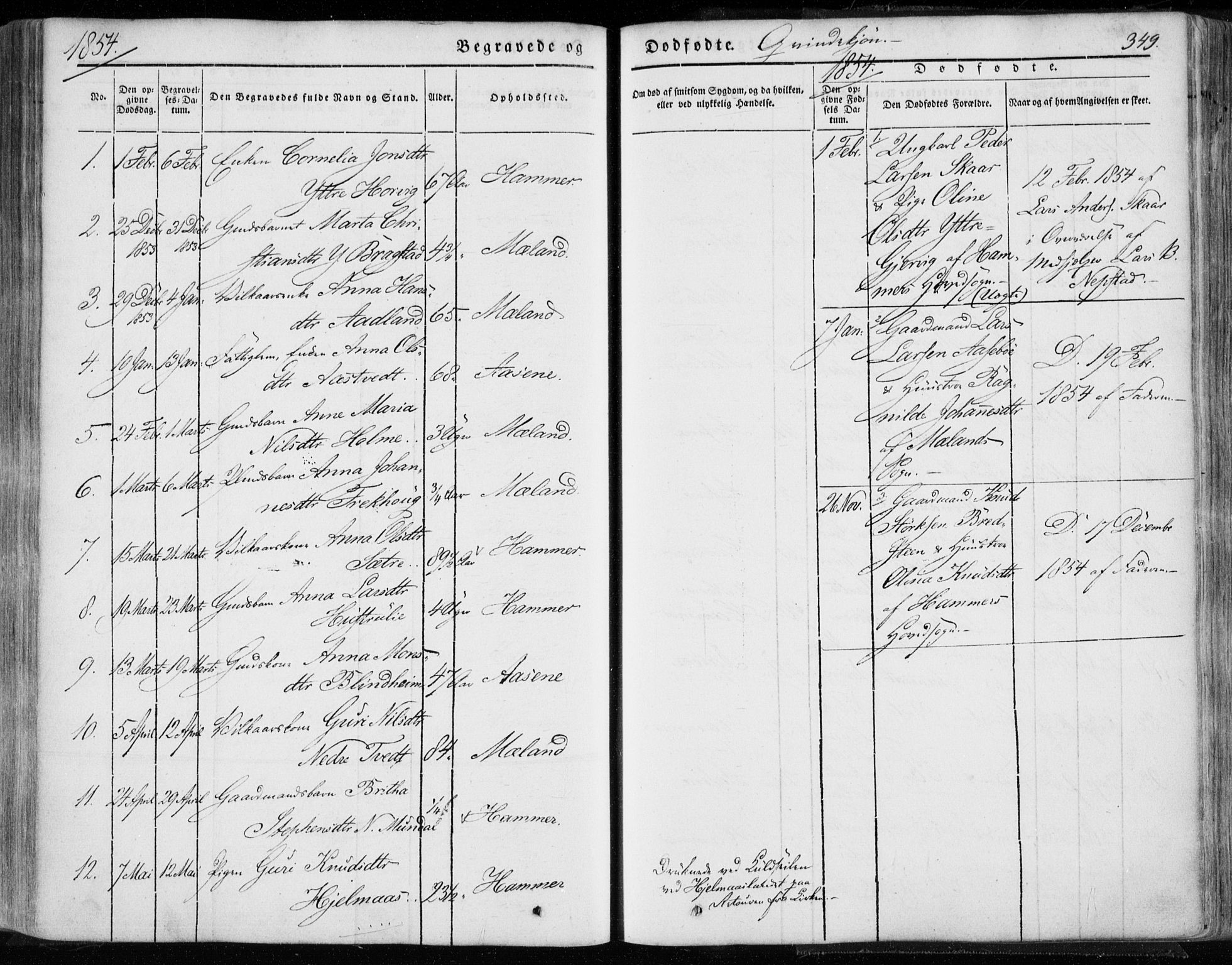 Hamre sokneprestembete, AV/SAB-A-75501/H/Ha/Haa/Haaa/L0013: Parish register (official) no. A 13, 1846-1857, p. 349