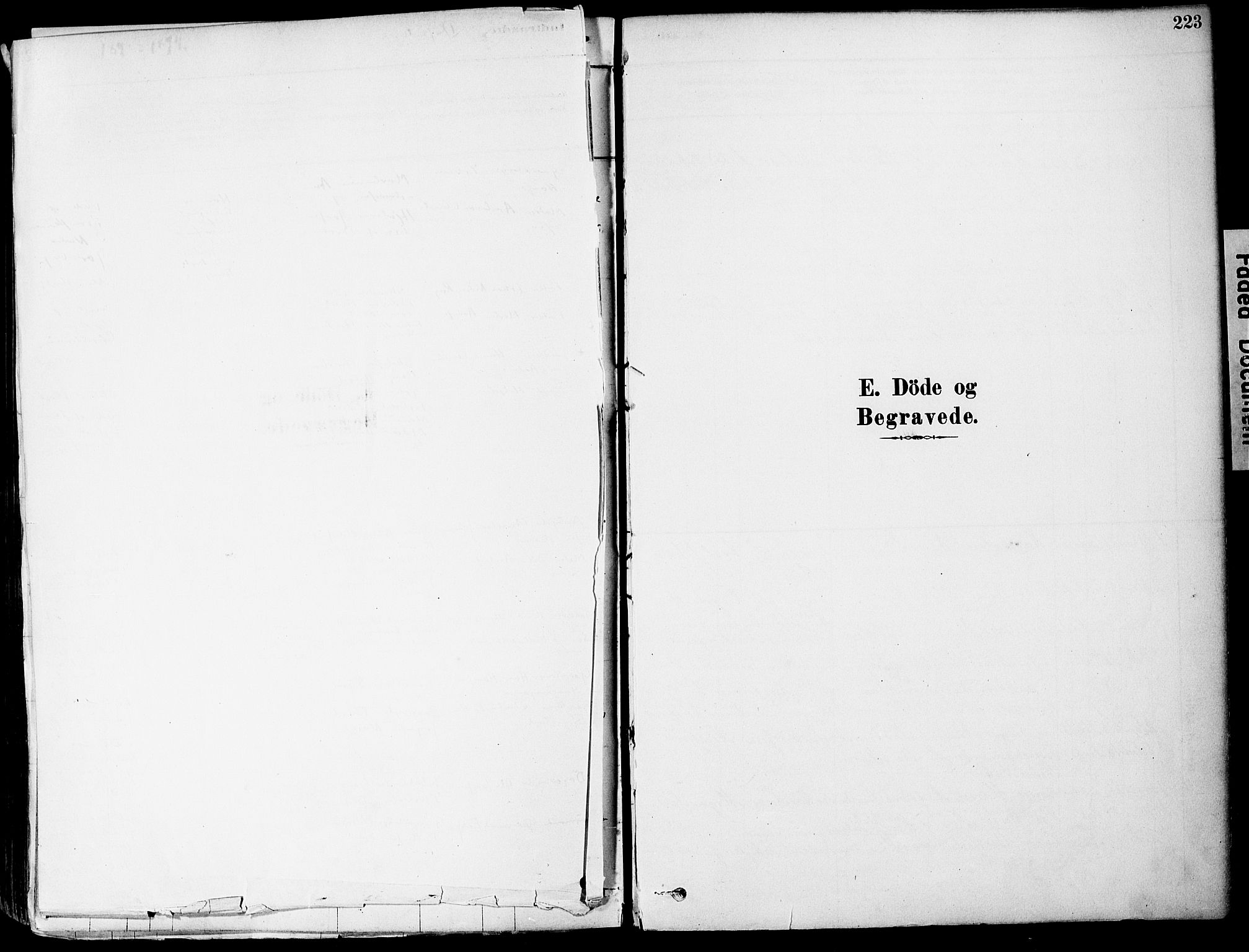 Strømm kirkebøker, SAKO/A-322/F/Fa/L0004: Parish register (official) no. I 4, 1878-1899, p. 223