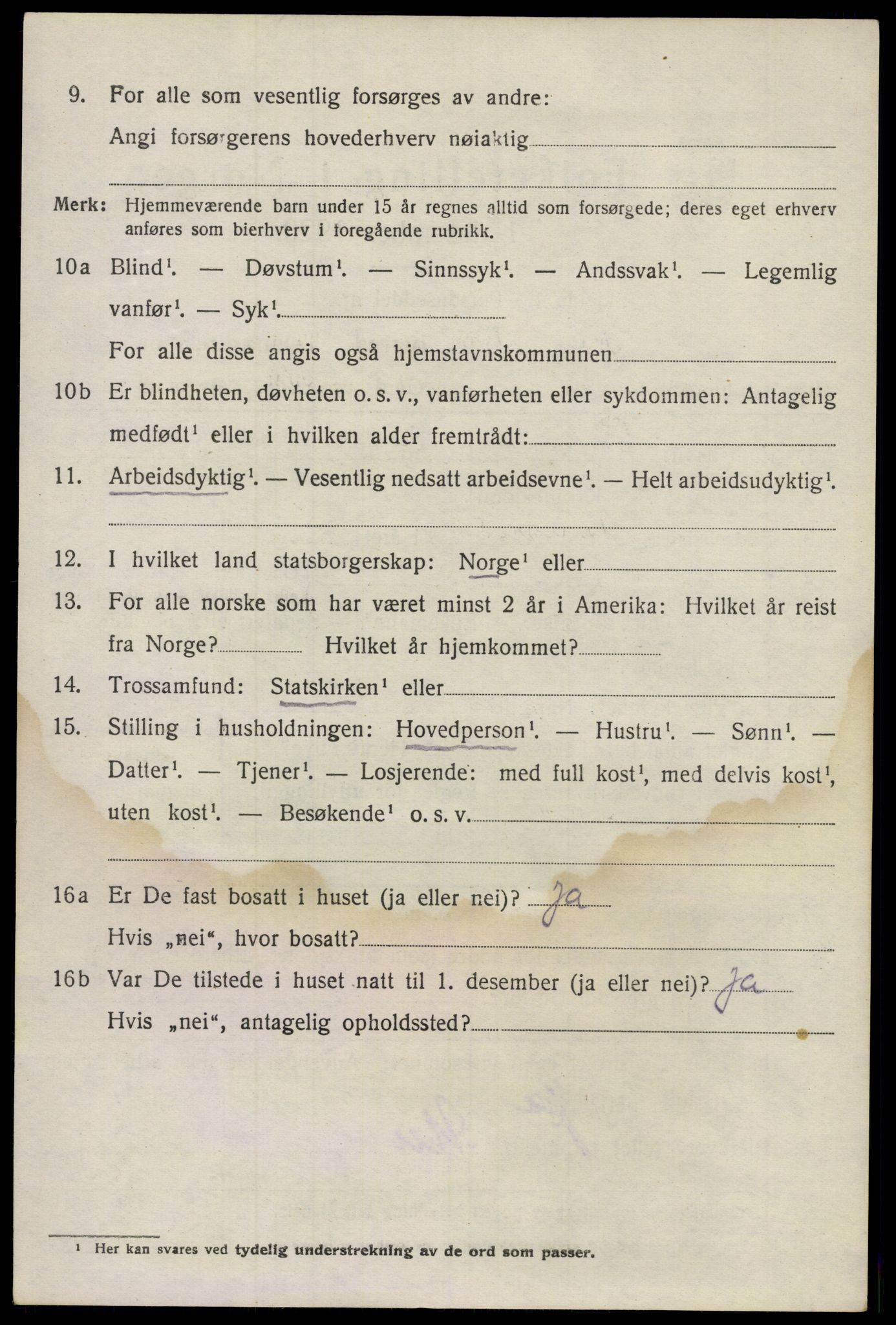 SAO, 1920 census for Nes, 1920, p. 21065