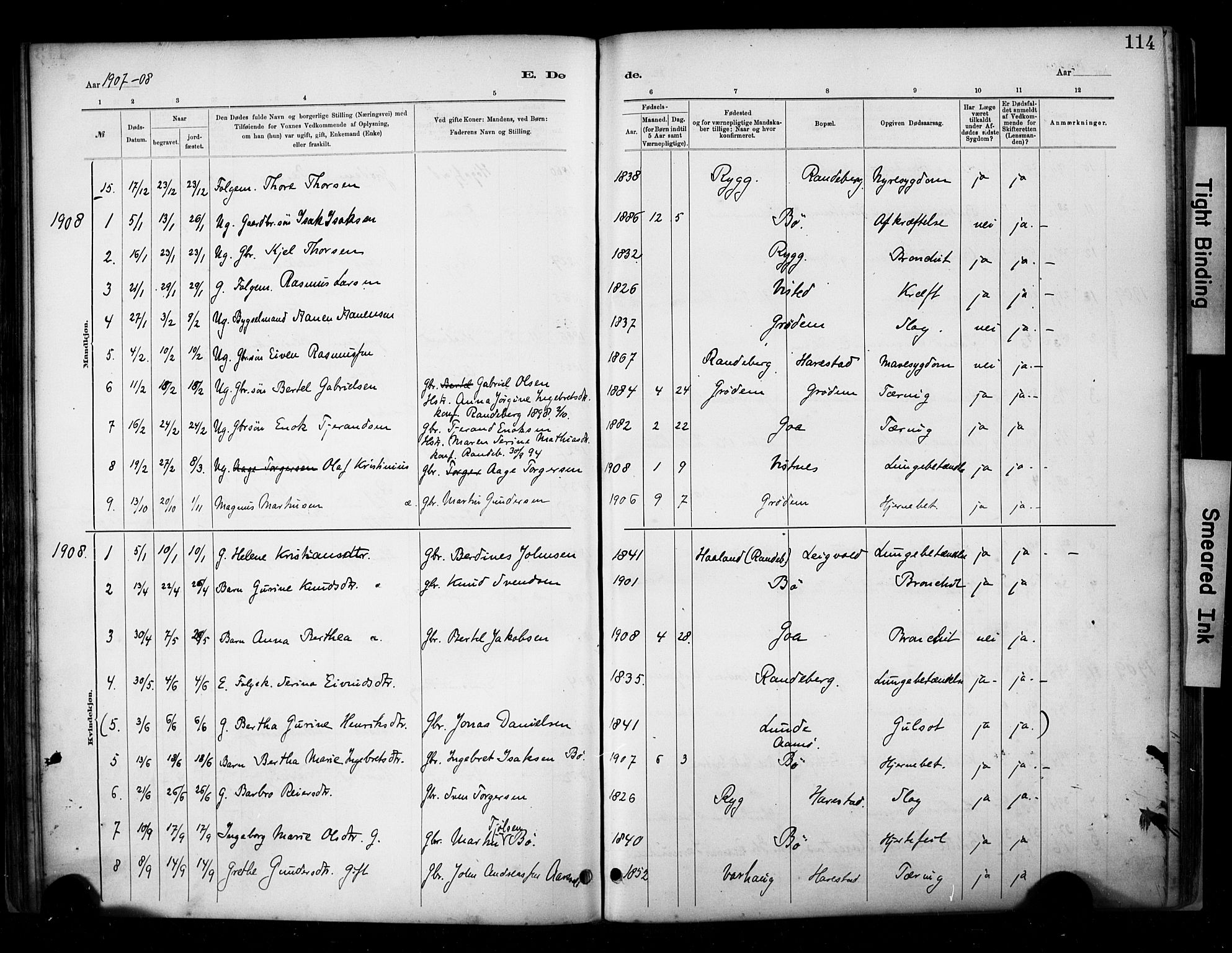 Hetland sokneprestkontor, SAST/A-101826/30/30BA/L0009: Parish register (official) no. A 9, 1882-1918, p. 114