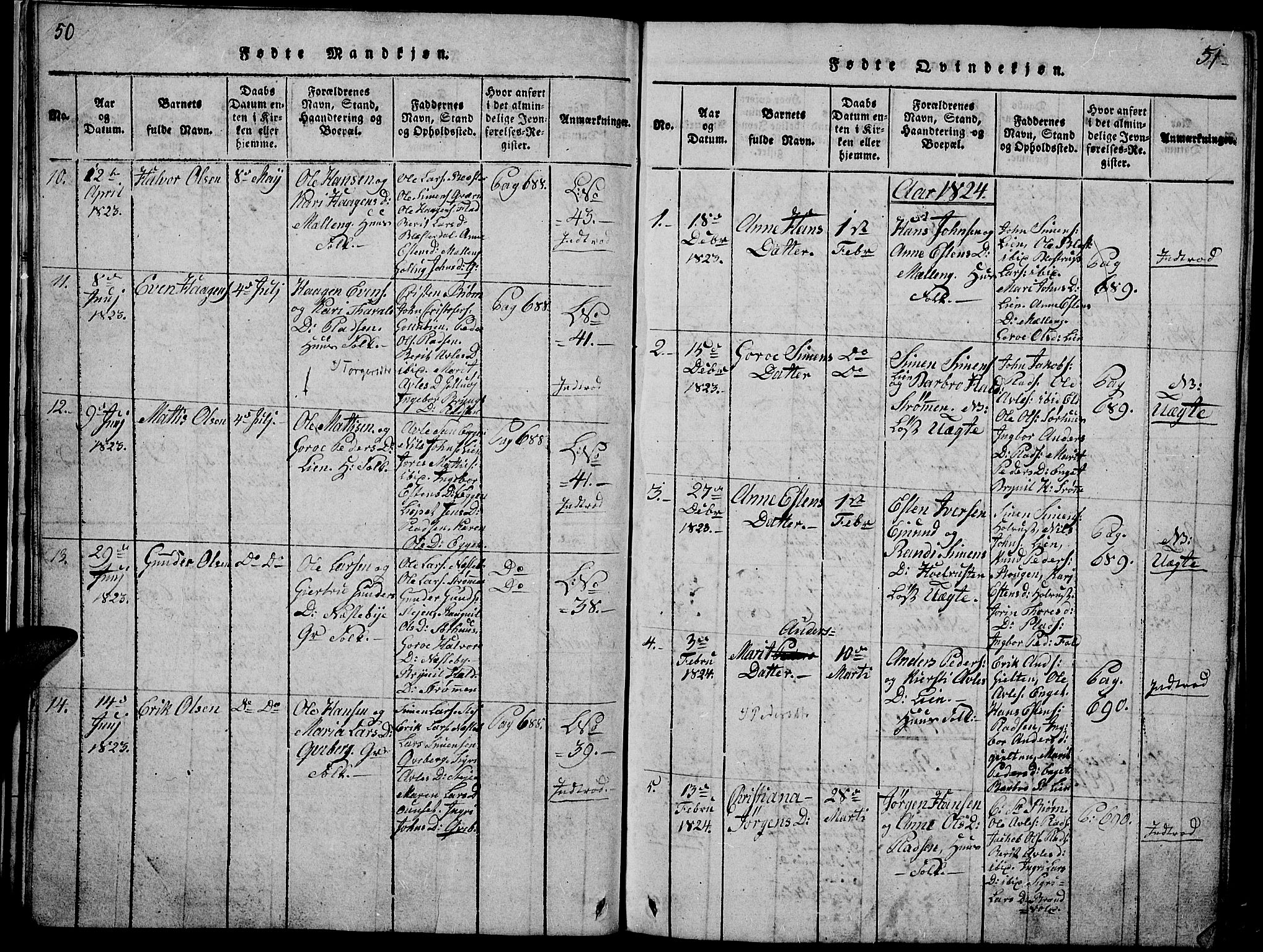 Tynset prestekontor, SAH/PREST-058/H/Ha/Hab/L0002: Parish register (copy) no. 2, 1814-1862, p. 50-51