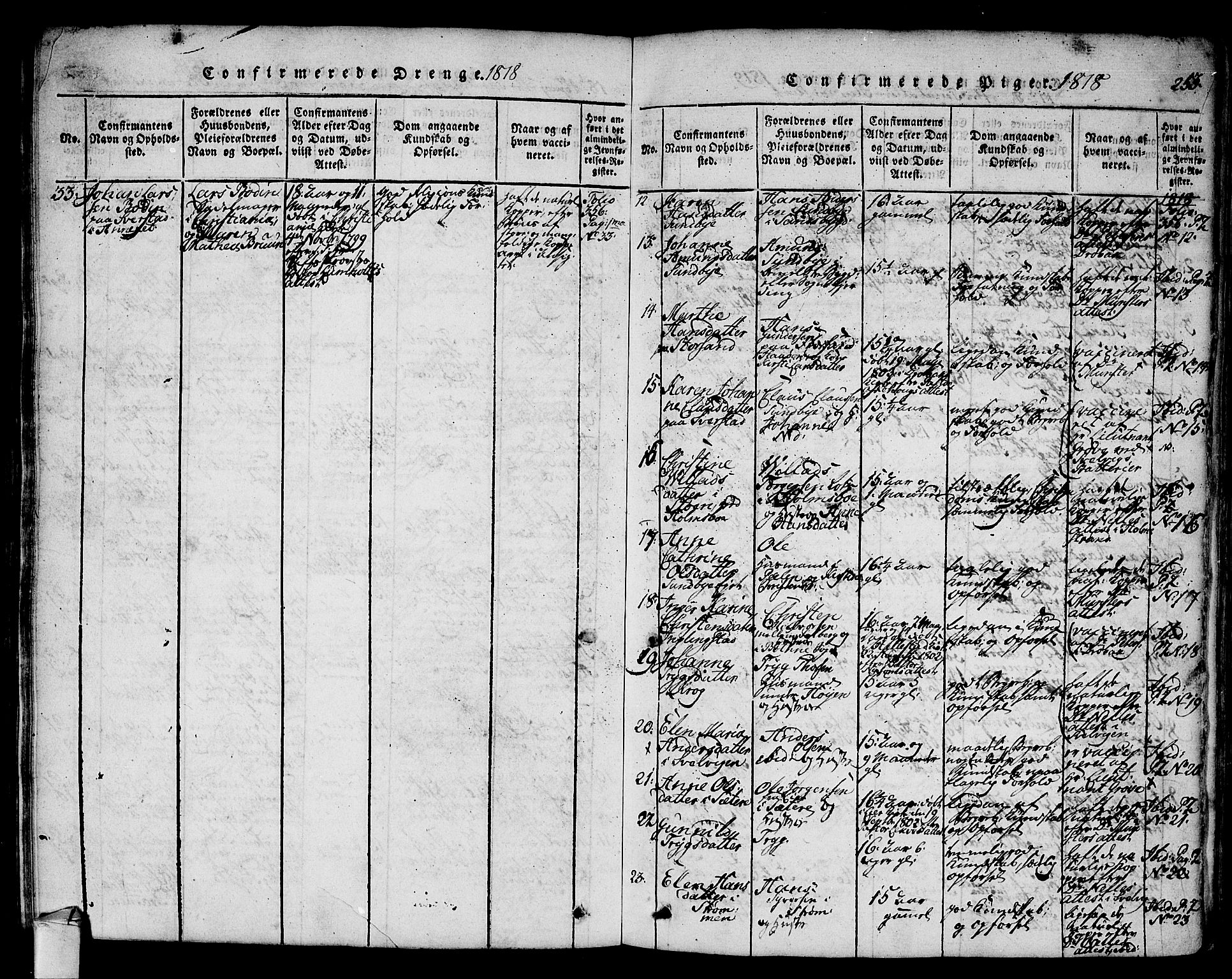 Hurum kirkebøker, AV/SAKO-A-229/F/Fa/L0009: Parish register (official) no. 9, 1816-1826, p. 253