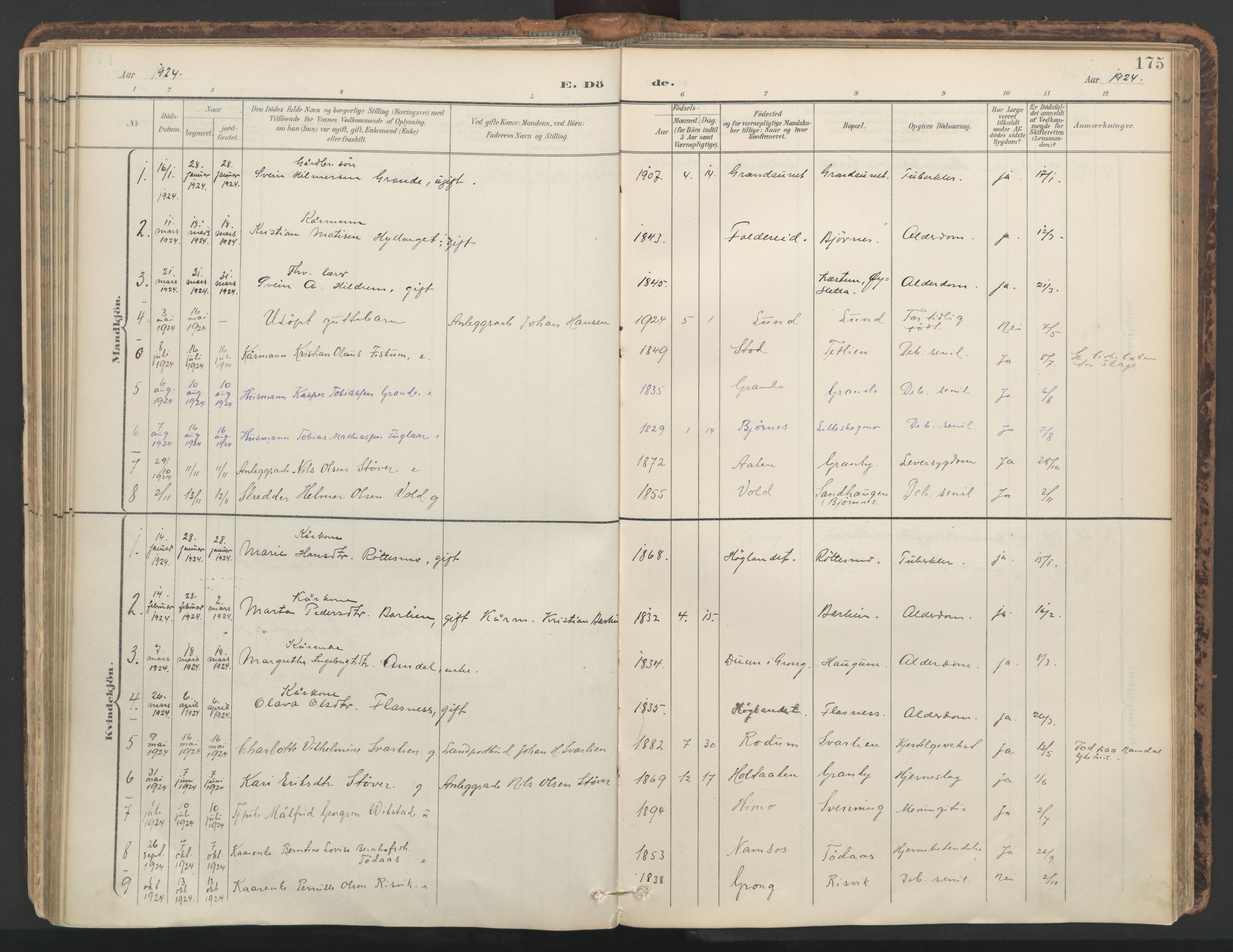 Ministerialprotokoller, klokkerbøker og fødselsregistre - Nord-Trøndelag, SAT/A-1458/764/L0556: Parish register (official) no. 764A11, 1897-1924, p. 175