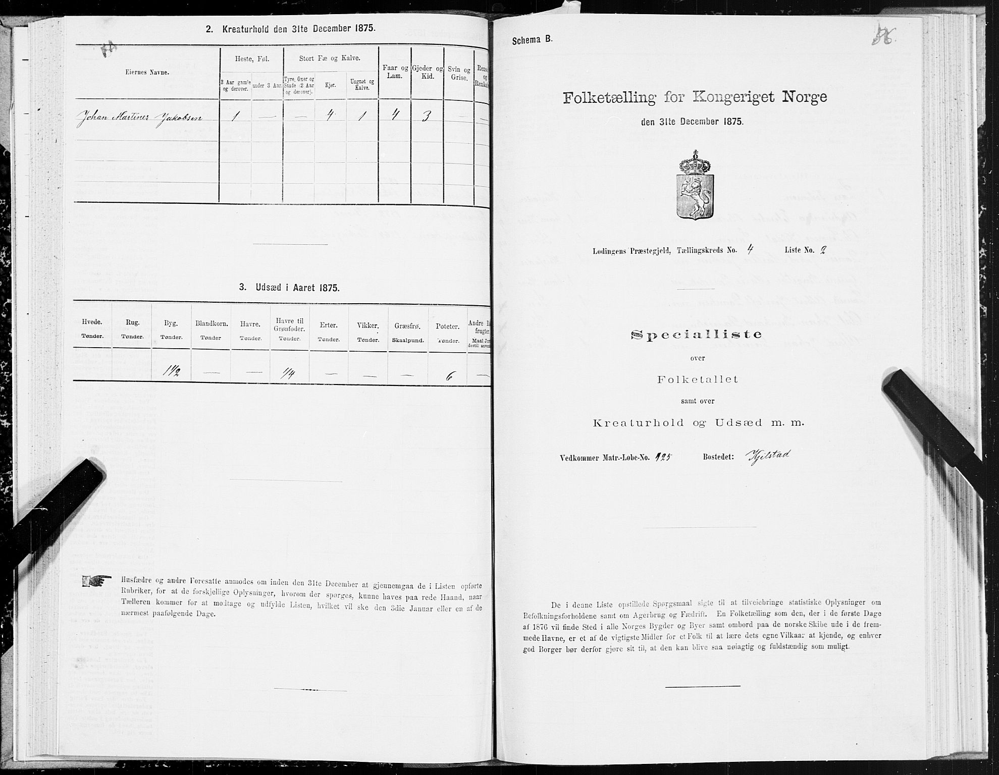 SAT, 1875 census for 1851P Lødingen, 1875, p. 2086