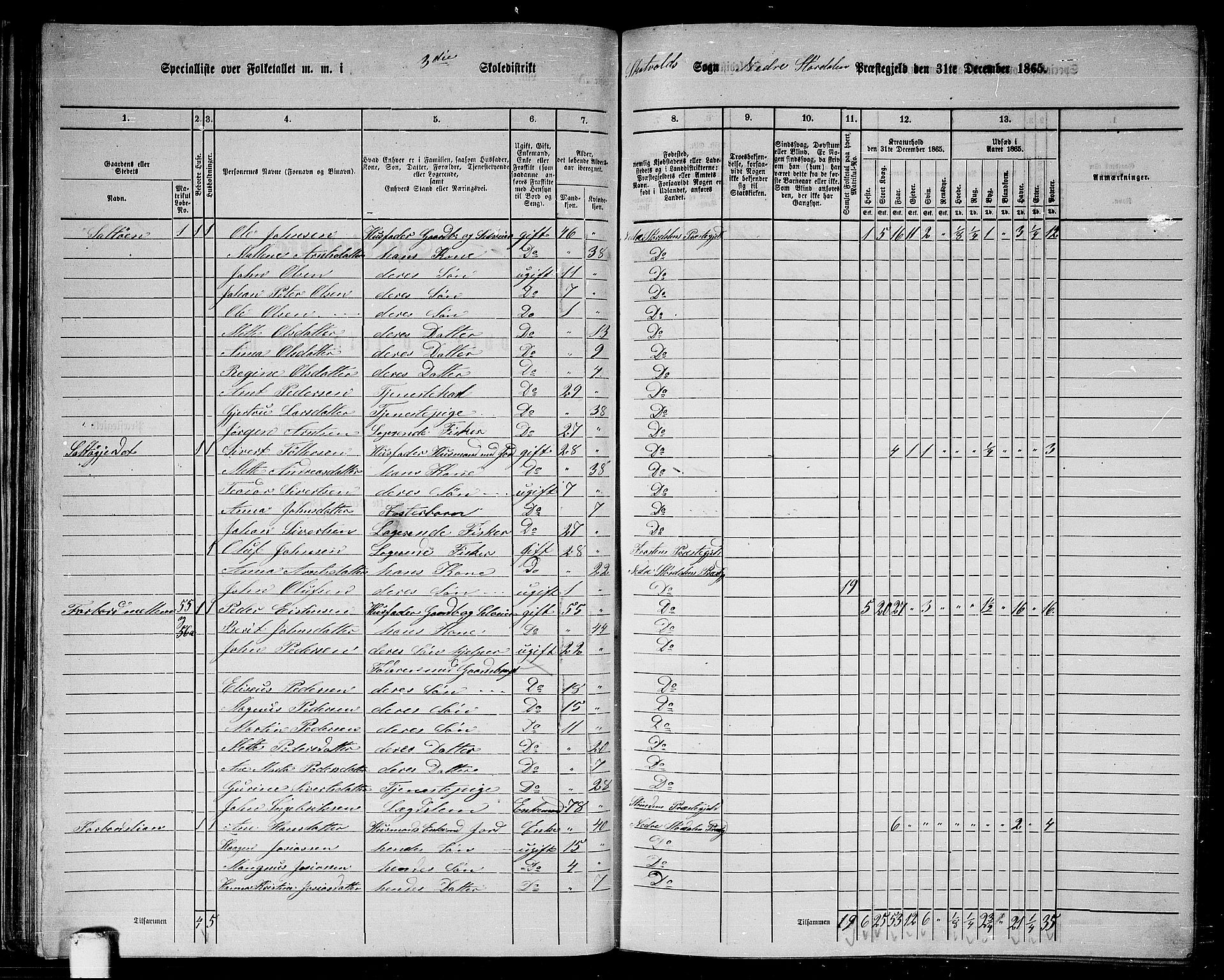 RA, 1865 census for Nedre Stjørdal, 1865, p. 49