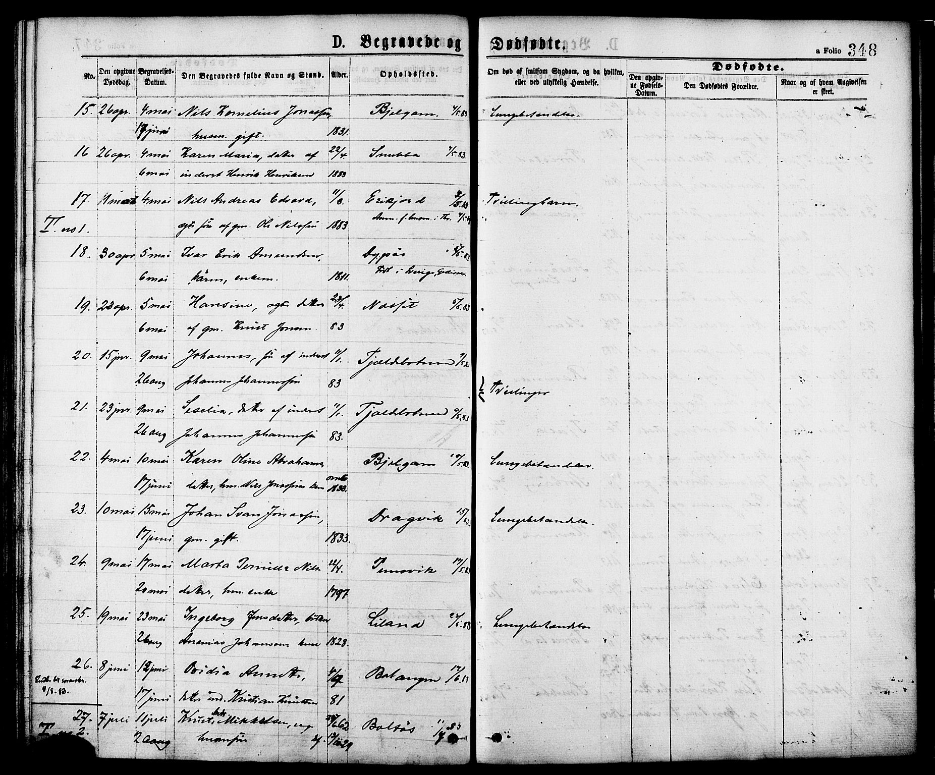 Ministerialprotokoller, klokkerbøker og fødselsregistre - Nordland, SAT/A-1459/863/L0897: Parish register (official) no. 863A09, 1872-1886, p. 348