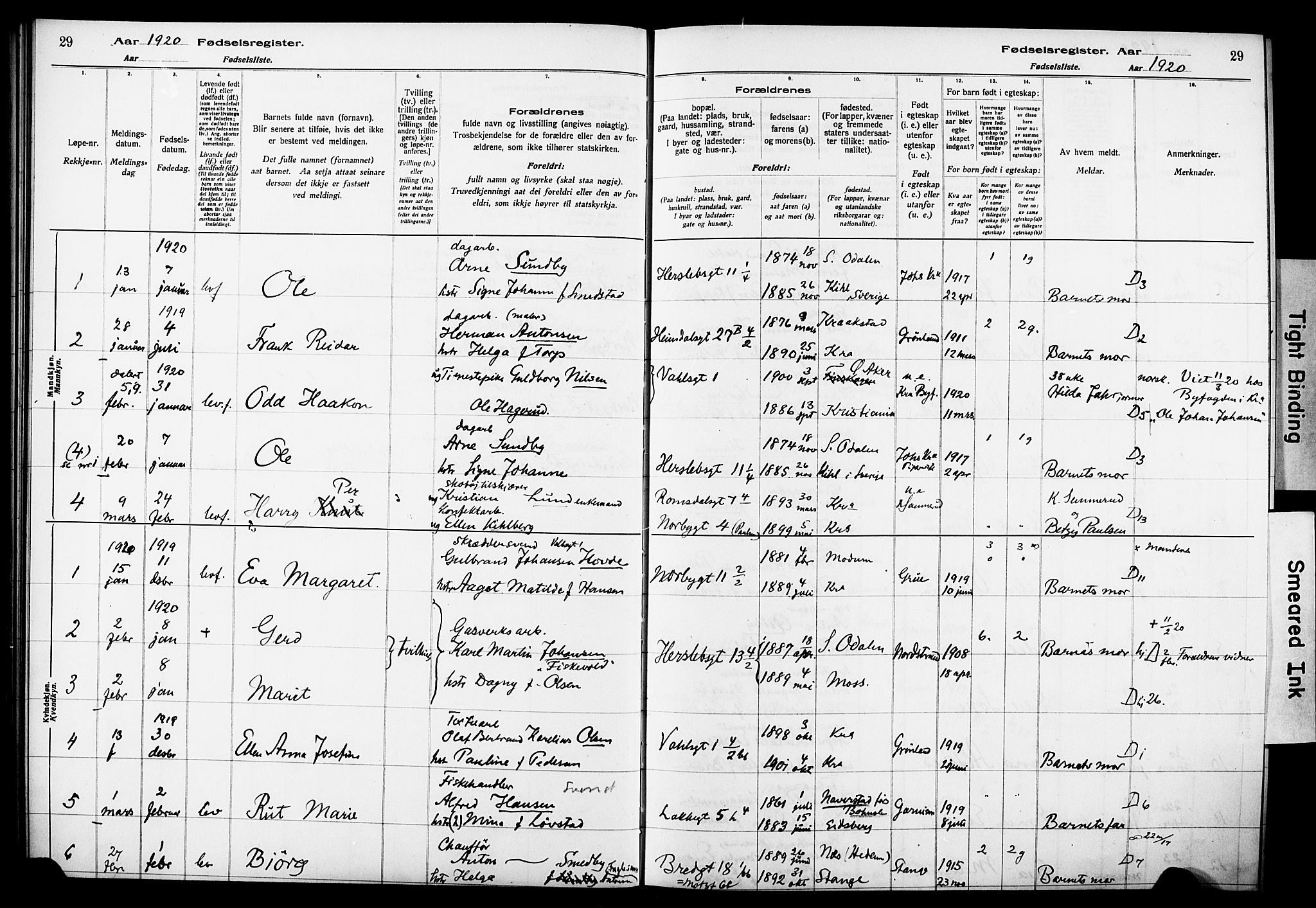 Wexel prestekontor Kirkebøker, SAO/A-10879/J/L0001: Birth register no. 1, 1916-1930, p. 29