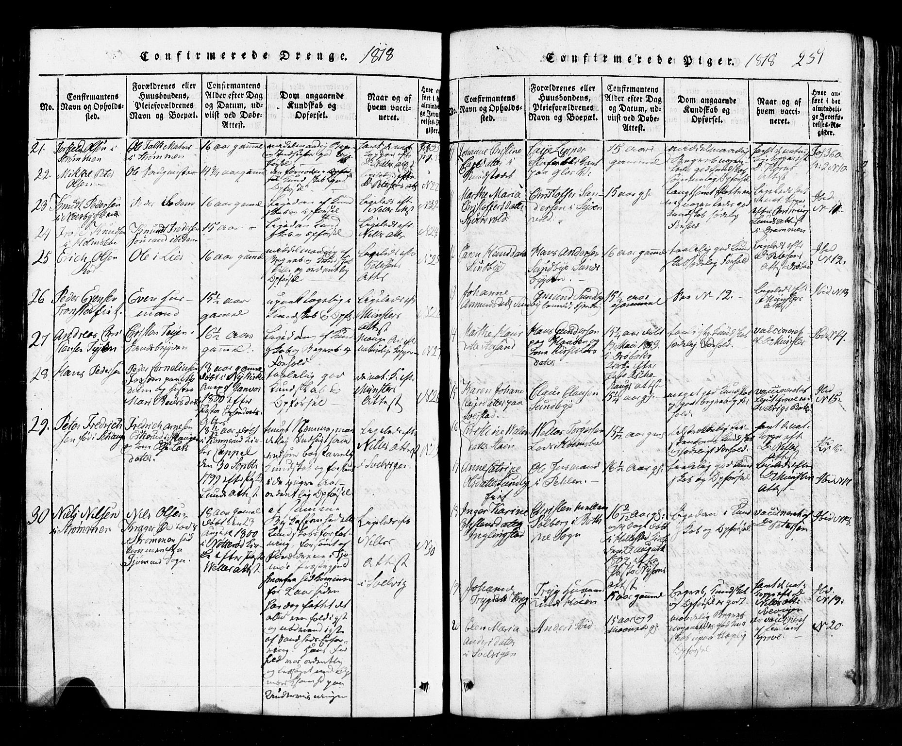 Hurum kirkebøker, AV/SAKO-A-229/G/Ga/L0001: Parish register (copy) no. I 1, 1816-1826, p. 251