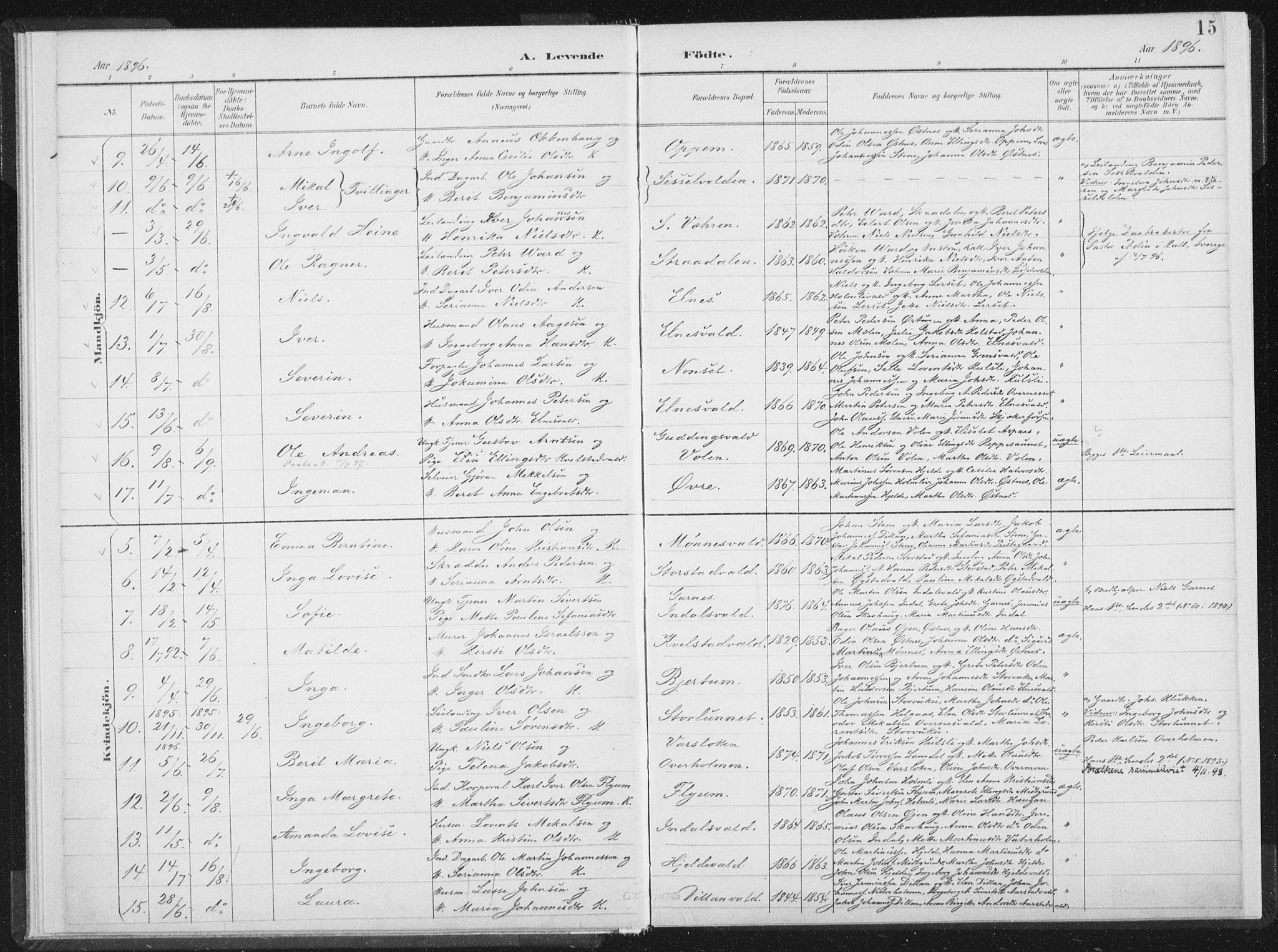 Ministerialprotokoller, klokkerbøker og fødselsregistre - Nord-Trøndelag, AV/SAT-A-1458/724/L0263: Parish register (official) no. 724A01, 1891-1907, p. 15