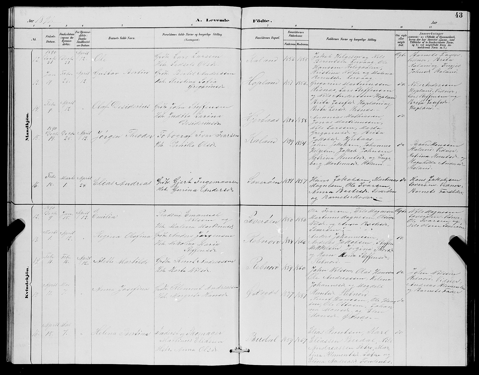 Lindås Sokneprestembete, AV/SAB-A-76701/H/Hab/Habc/L0003: Parish register (copy) no. C 3, 1886-1893, p. 43