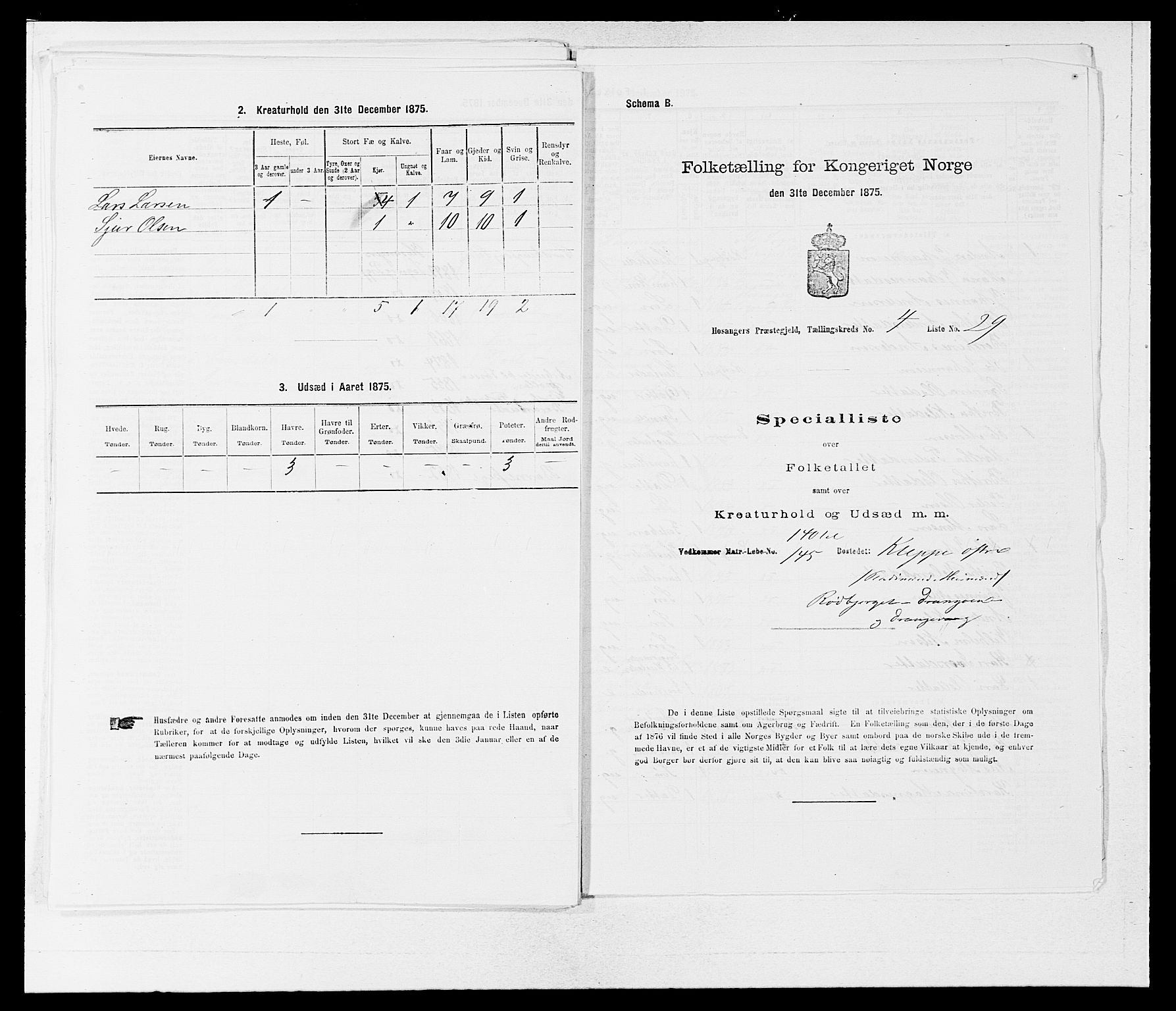 SAB, 1875 census for 1253P Hosanger, 1875, p. 417