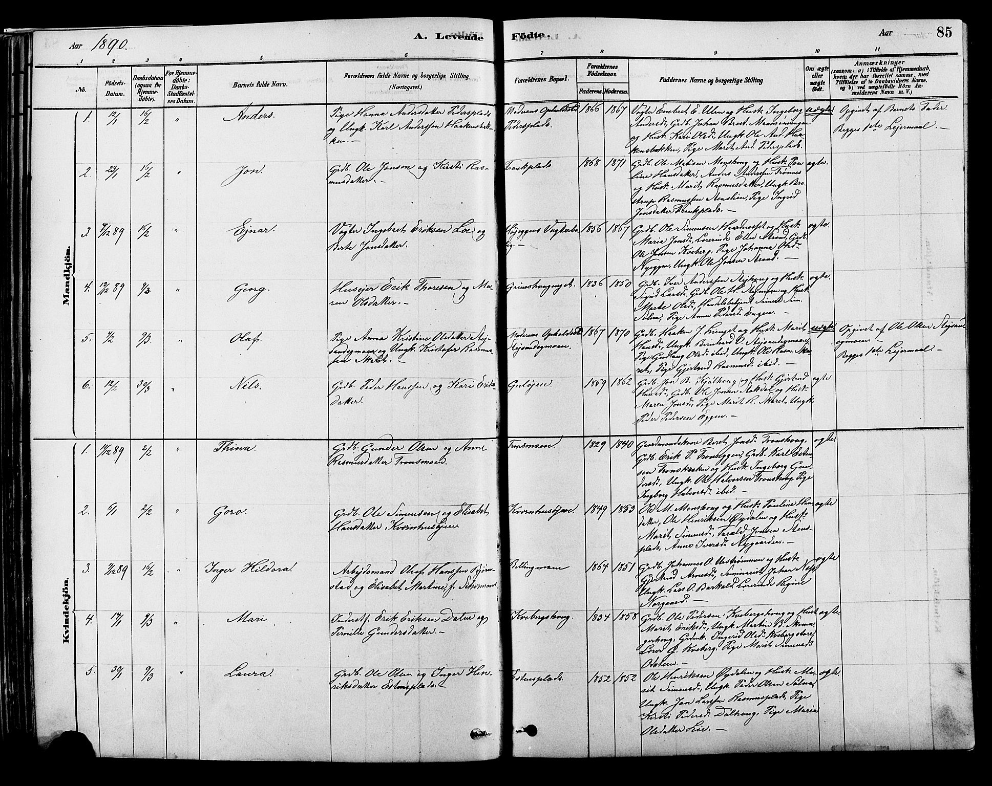 Alvdal prestekontor, SAH/PREST-060/H/Ha/Hab/L0003: Parish register (copy) no. 3, 1878-1907, p. 85