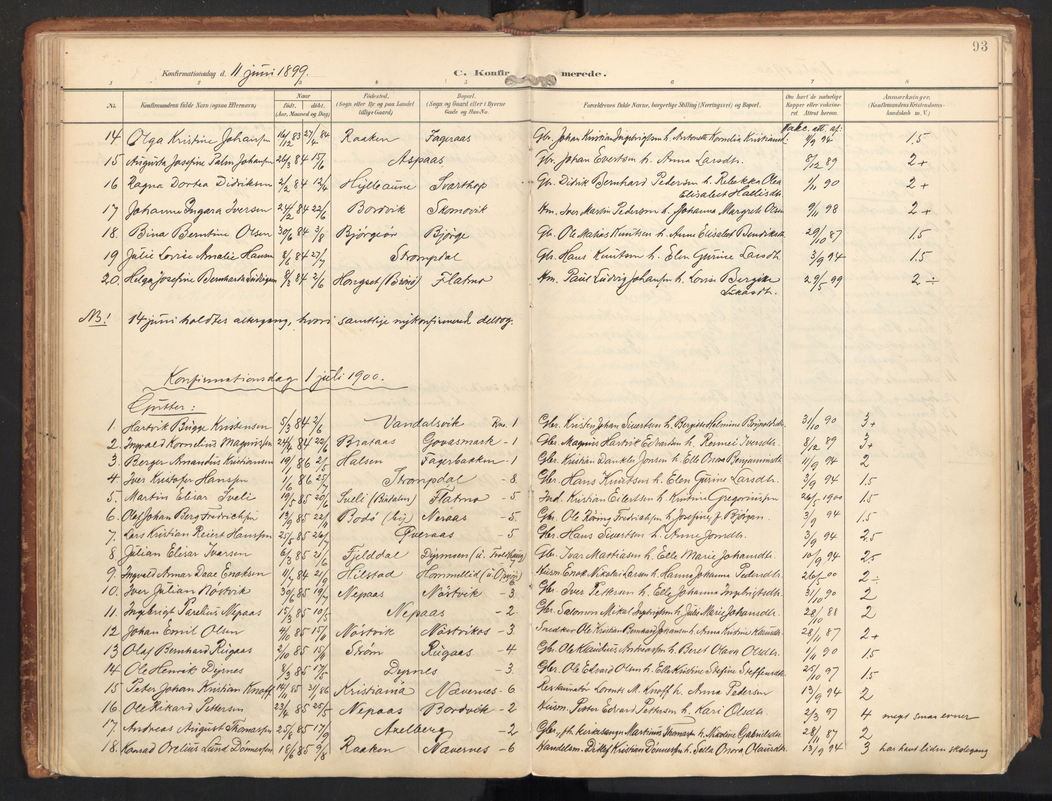 Ministerialprotokoller, klokkerbøker og fødselsregistre - Nordland, SAT/A-1459/814/L0227: Parish register (official) no. 814A08, 1899-1920, p. 93