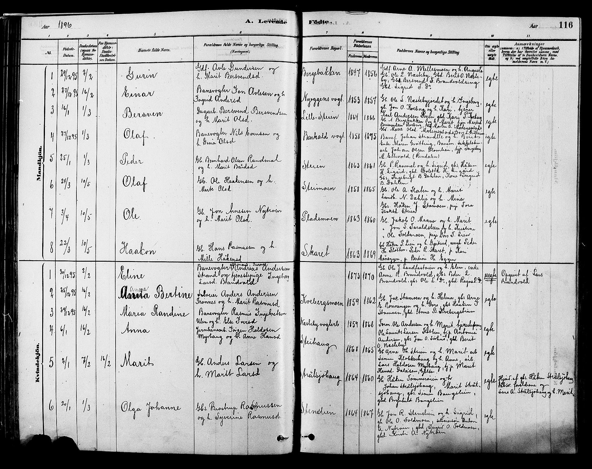 Alvdal prestekontor, SAH/PREST-060/H/Ha/Hab/L0003: Parish register (copy) no. 3, 1878-1907, p. 116