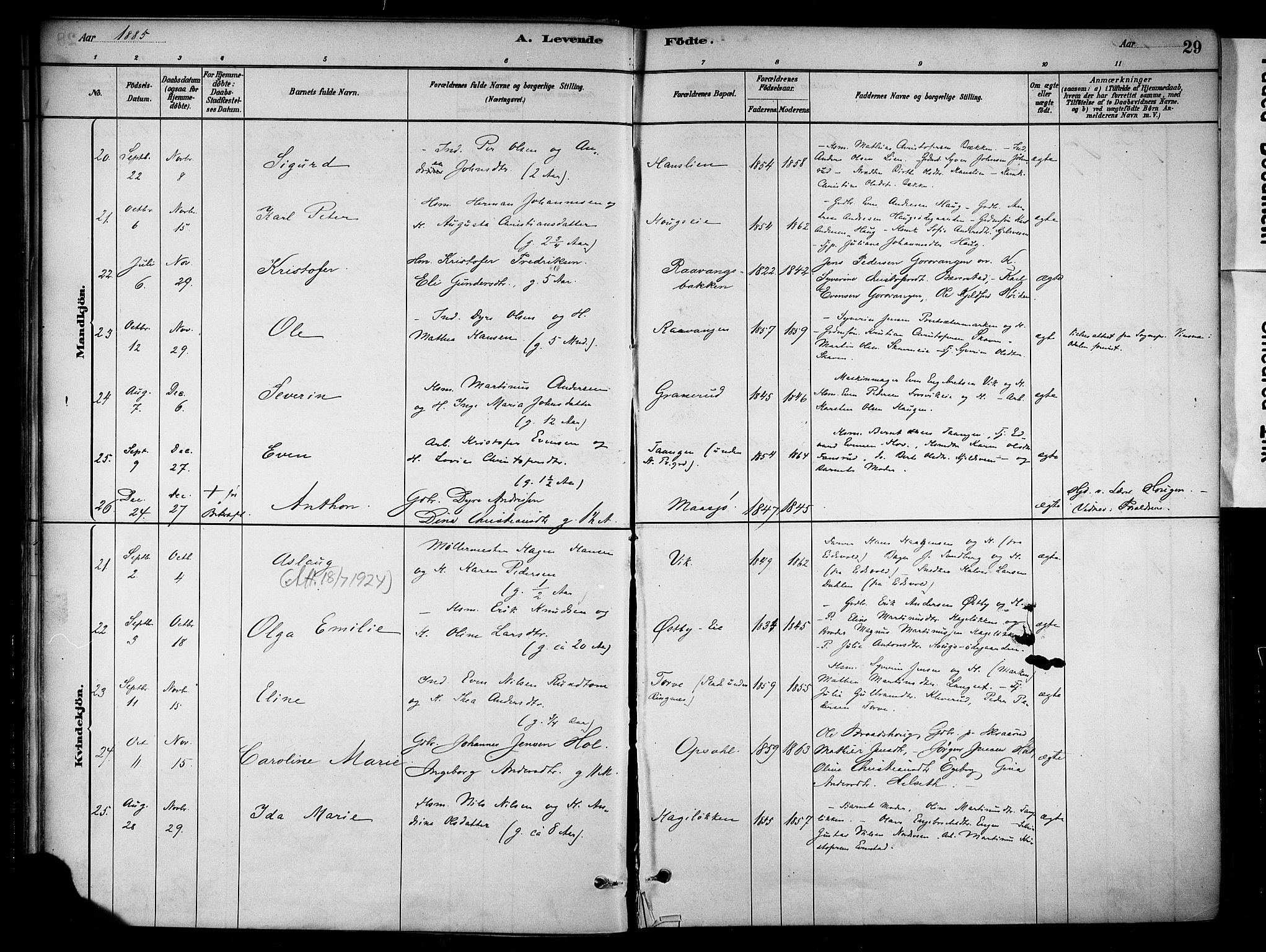 Stange prestekontor, AV/SAH-PREST-002/K/L0018: Parish register (official) no. 18, 1880-1896, p. 29