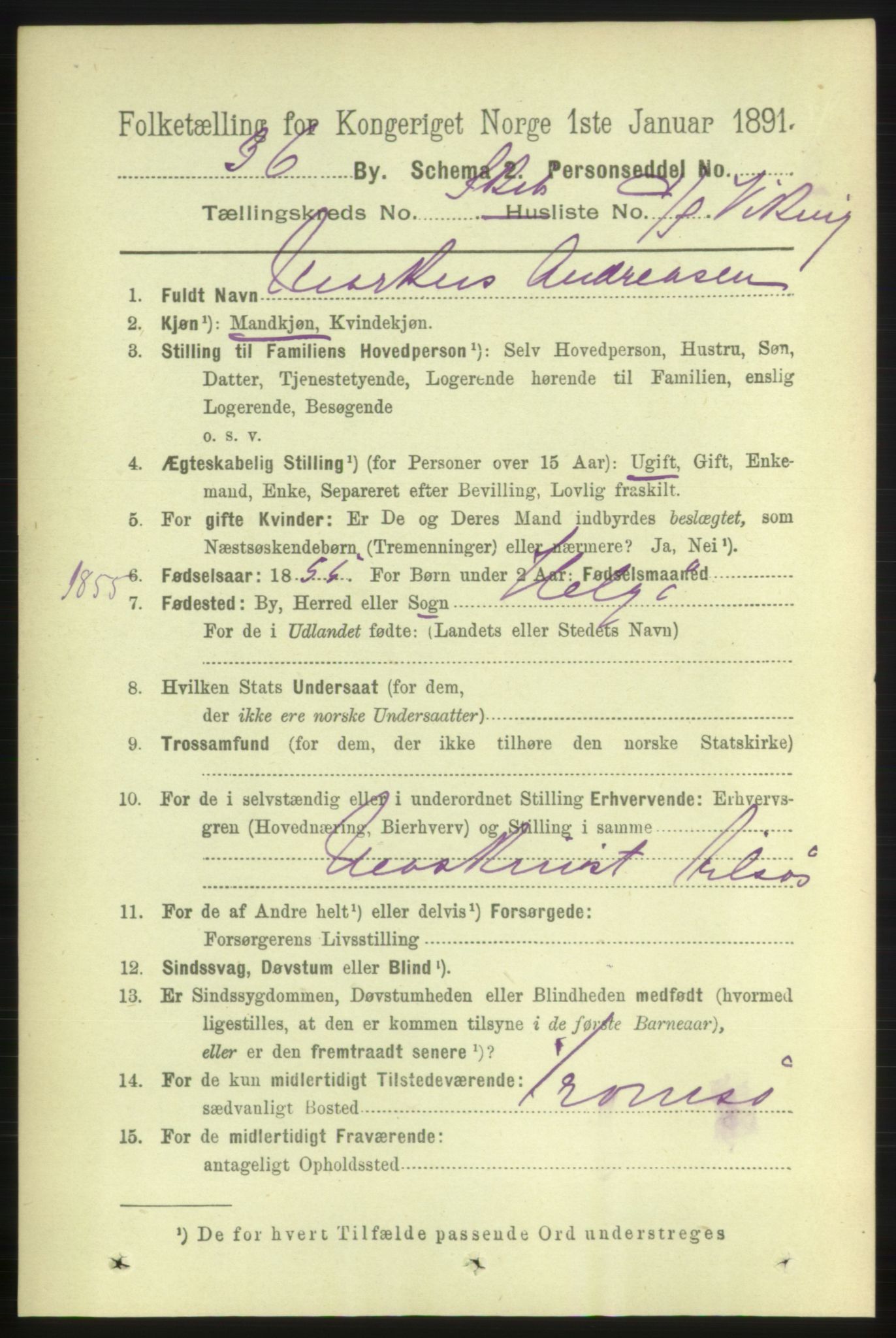 RA, 1891 census for 1001 Kristiansand, 1891, p. 16077