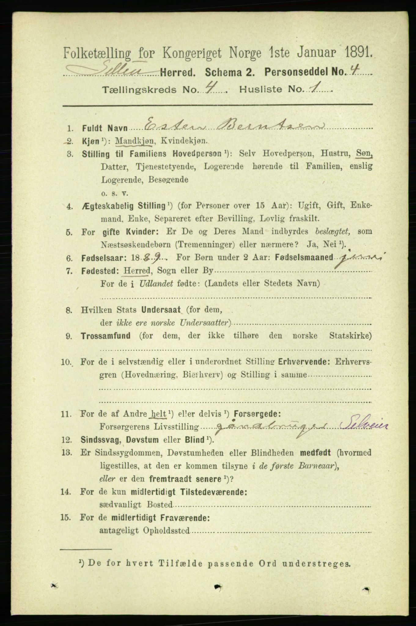 RA, 1891 census for 1664 Selbu, 1891, p. 1066