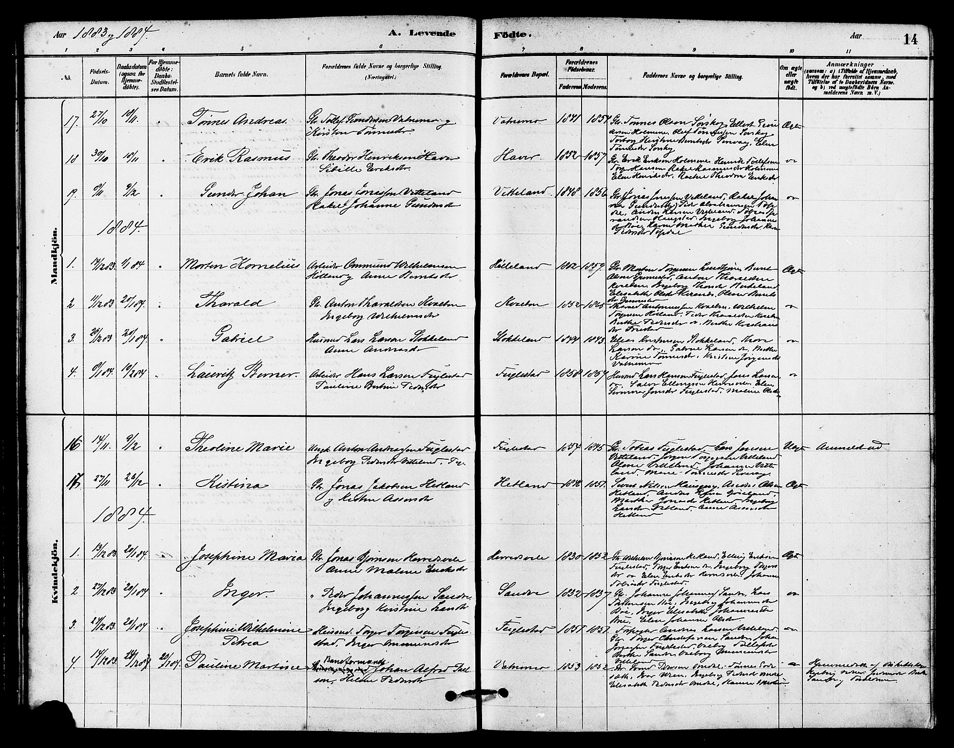 Eigersund sokneprestkontor, AV/SAST-A-101807/S08/L0016: Parish register (official) no. A 16, 1879-1893, p. 14