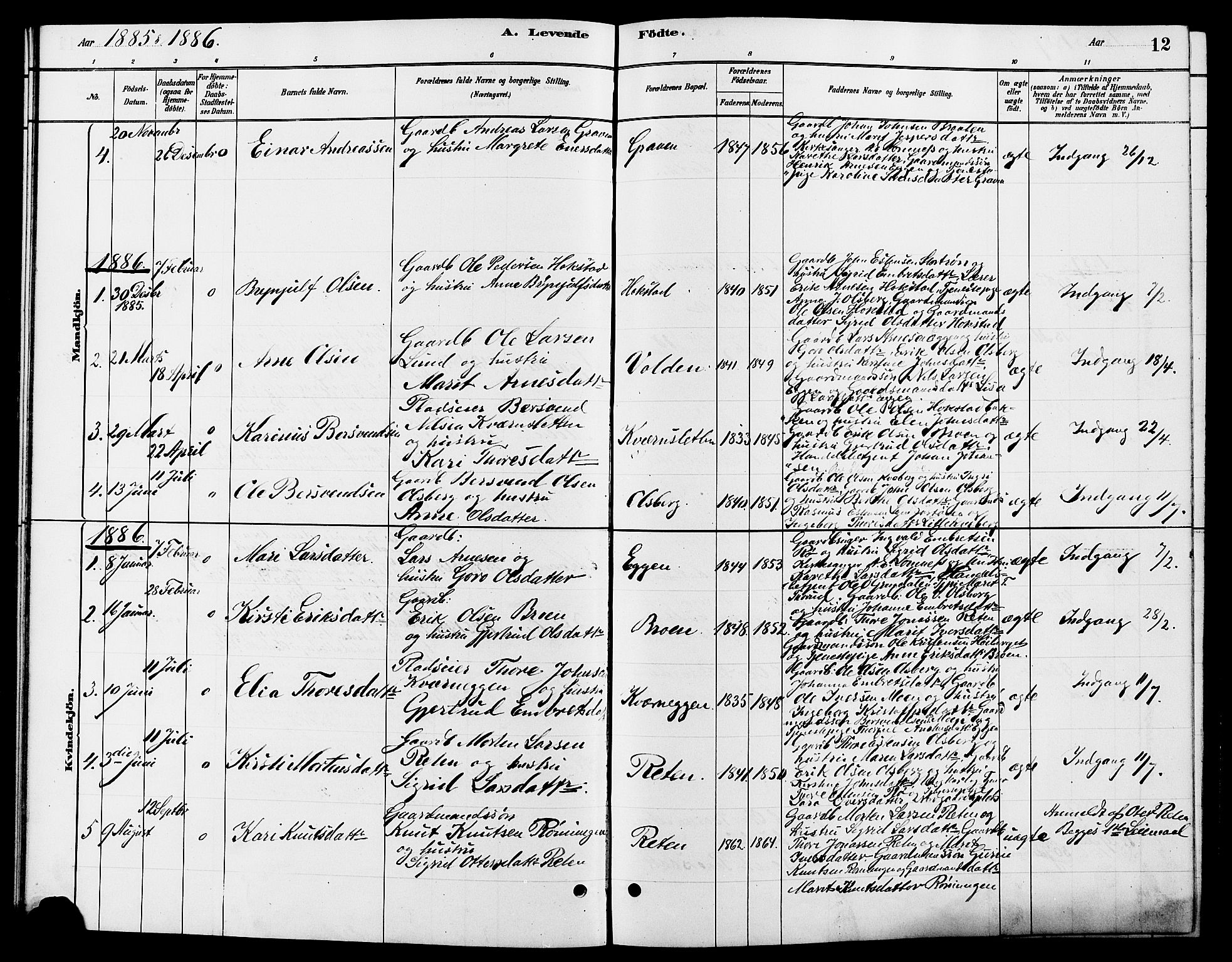 Tynset prestekontor, SAH/PREST-058/H/Ha/Hab/L0007: Parish register (copy) no. 7, 1880-1901, p. 12