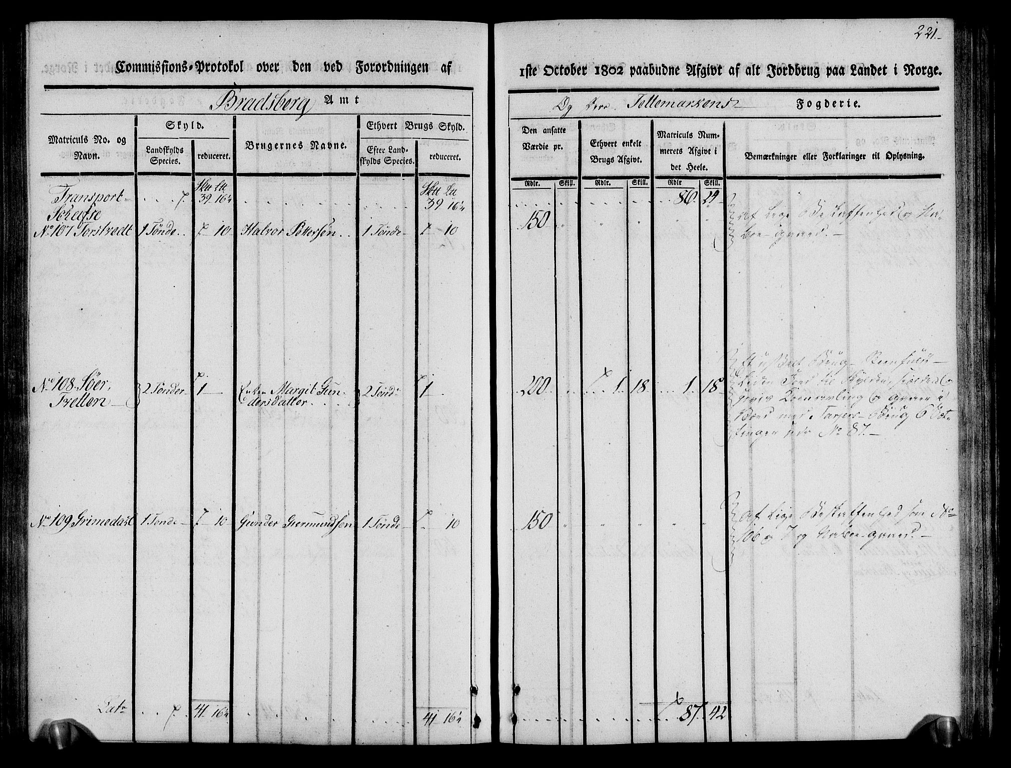 Rentekammeret inntil 1814, Realistisk ordnet avdeling, AV/RA-EA-4070/N/Ne/Nea/L0075: Øvre Telemarken fogderi. Kommisjonsprotokoll for fogderiets vestre del - Kviteseid, Vinje, Moland [):Fyresdal] og Lårdal prestegjeld., 1803, p. 223