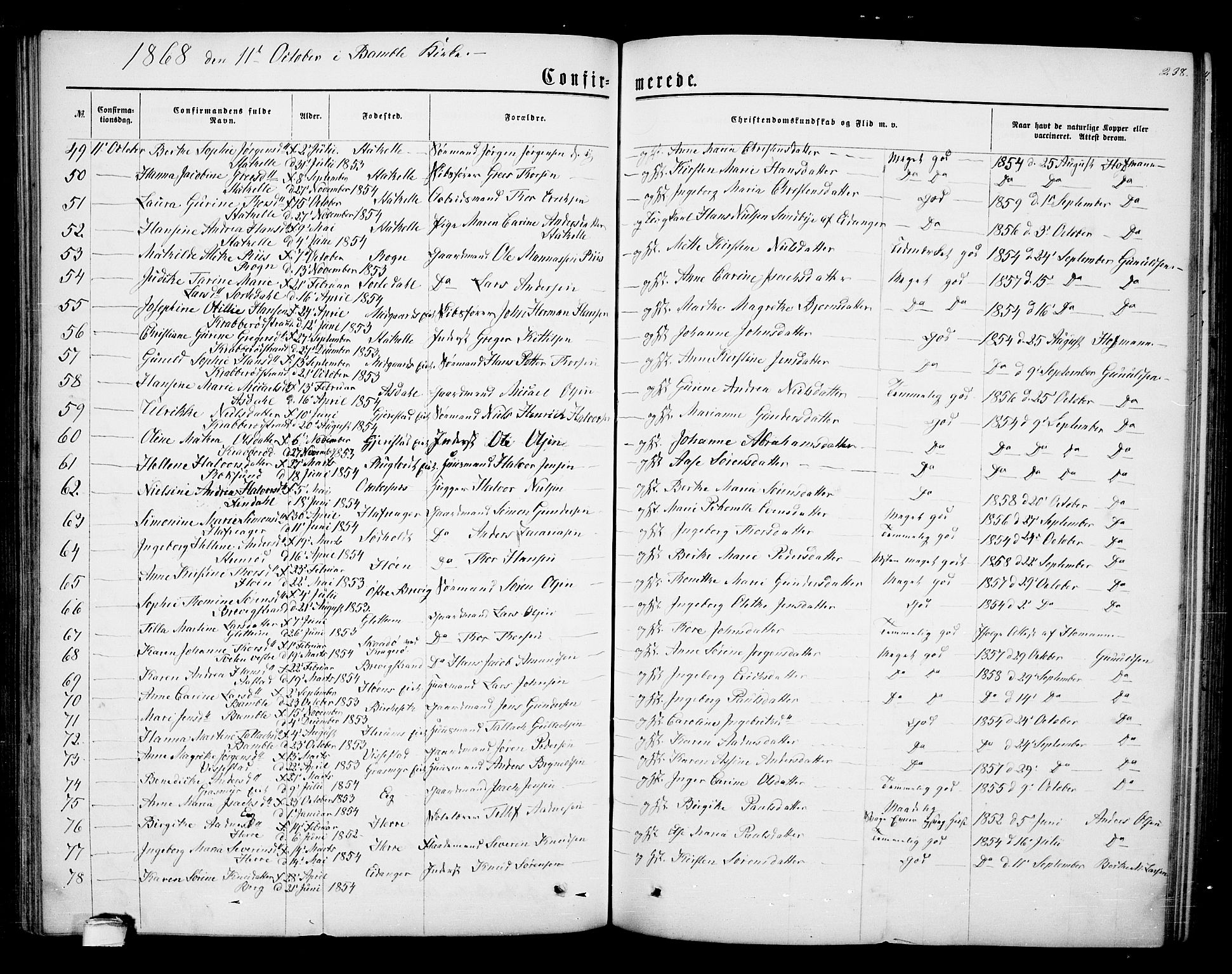 Bamble kirkebøker, SAKO/A-253/G/Ga/L0006: Parish register (copy) no. I 6, 1860-1876, p. 238