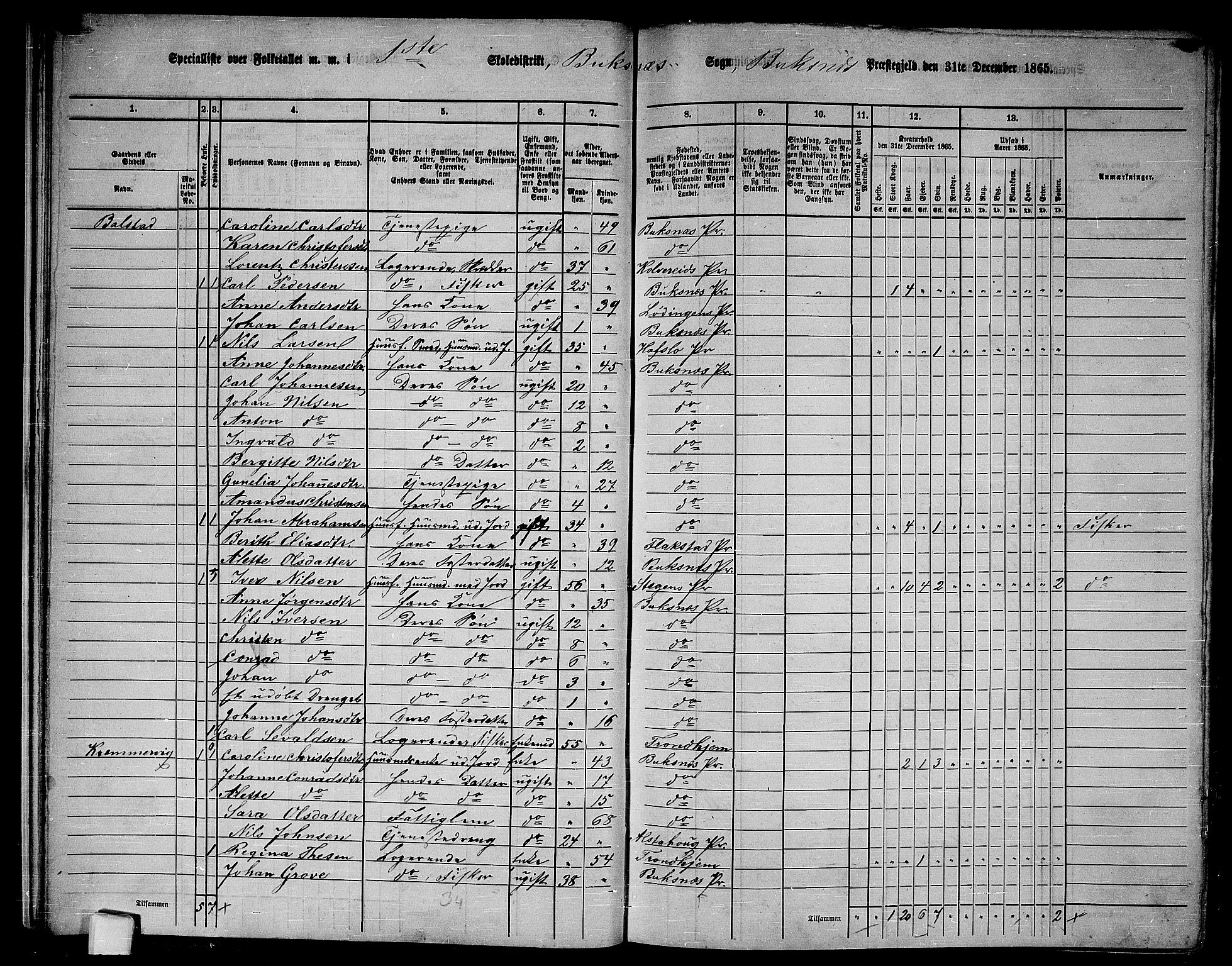 RA, 1865 census for Buksnes, 1865, p. 19