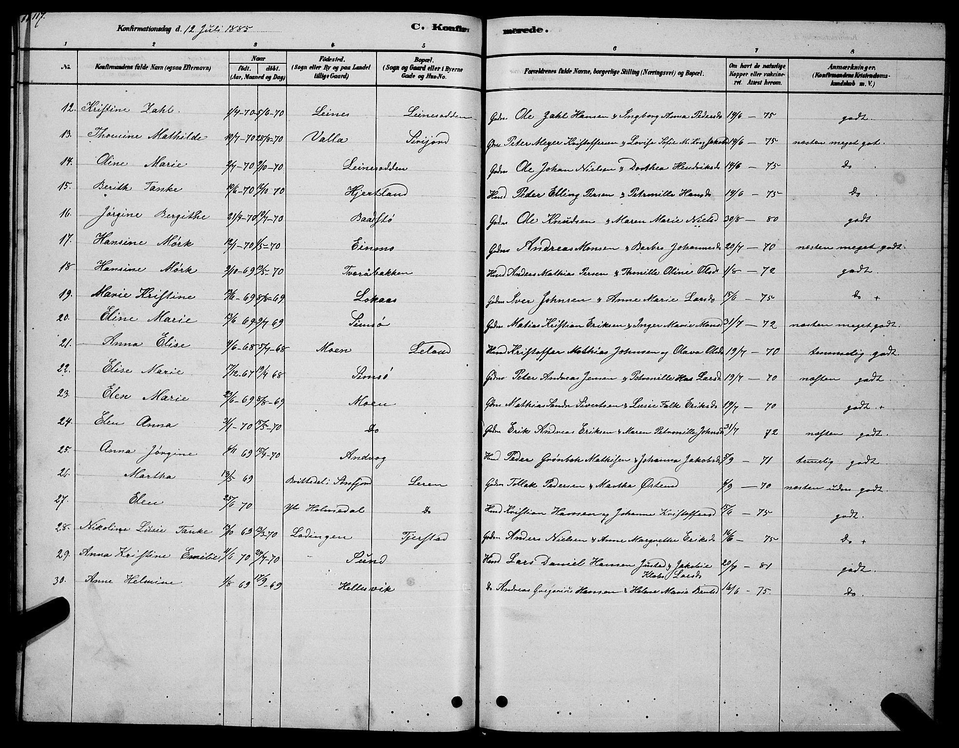 Ministerialprotokoller, klokkerbøker og fødselsregistre - Nordland, AV/SAT-A-1459/831/L0477: Parish register (copy) no. 831C04, 1878-1897, p. 117