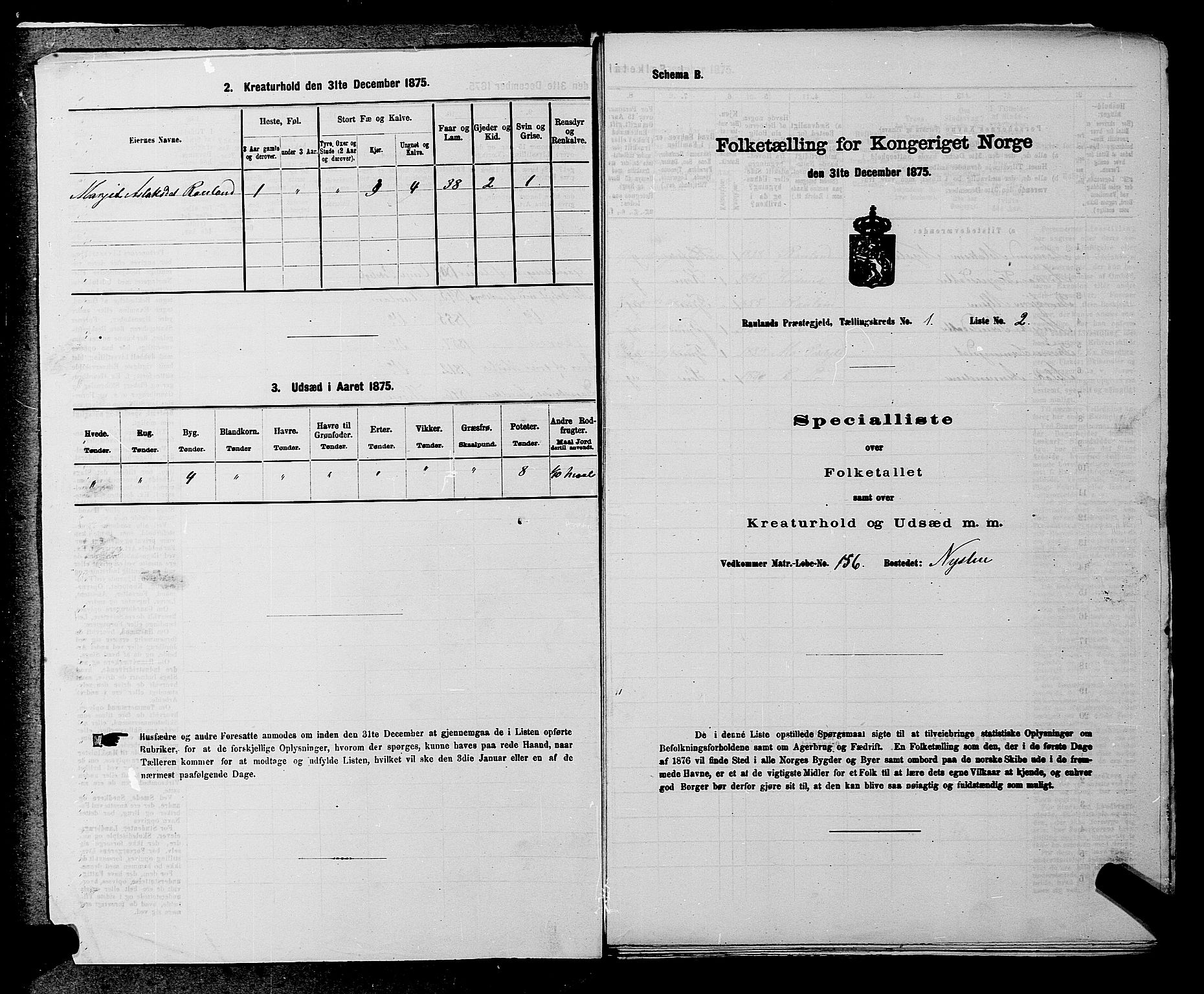 SAKO, 1875 census for 0835P Rauland, 1875, p. 29