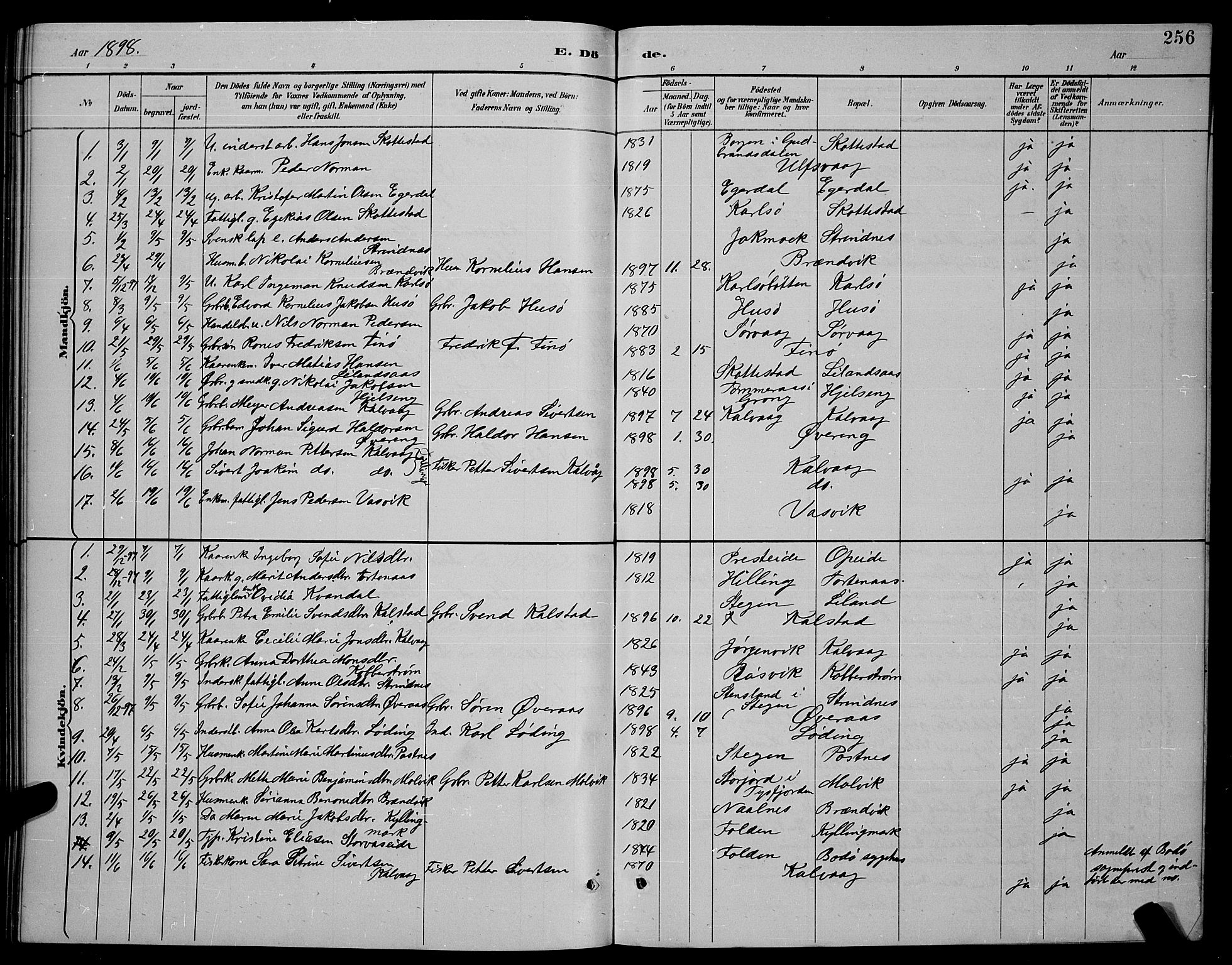 Ministerialprotokoller, klokkerbøker og fødselsregistre - Nordland, SAT/A-1459/859/L0859: Parish register (copy) no. 859C05, 1887-1898, p. 256