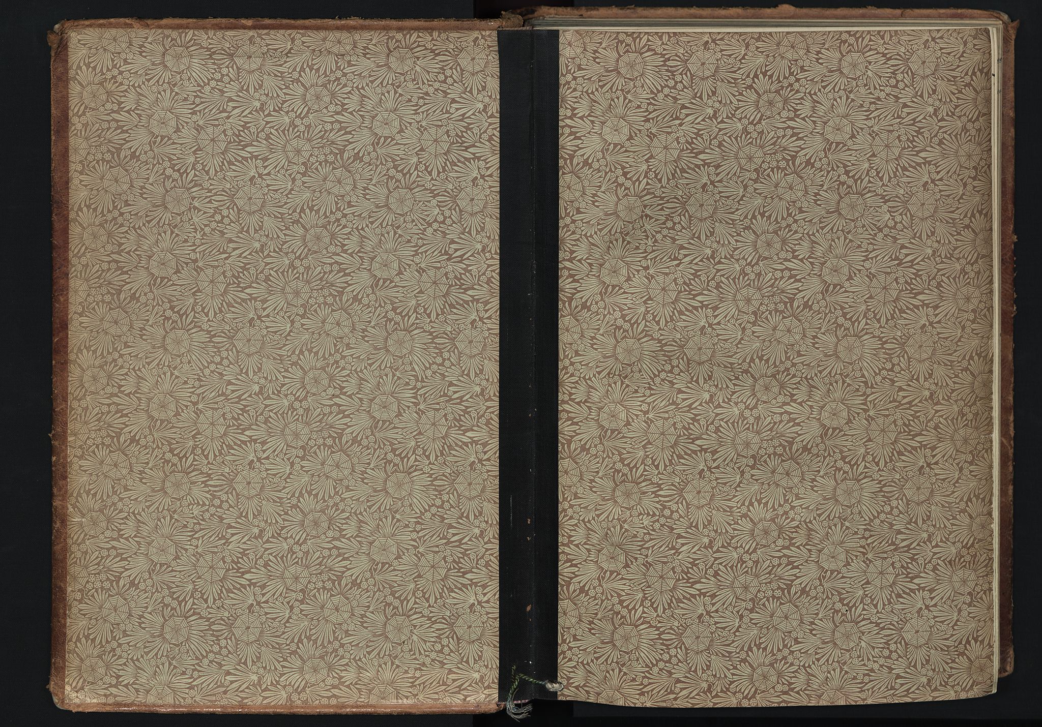 Tranøy sokneprestkontor, AV/SATØ-S-1313/I/Ia/Iaa/L0014kirke: Parish register (official) no. 14, 1905-1919