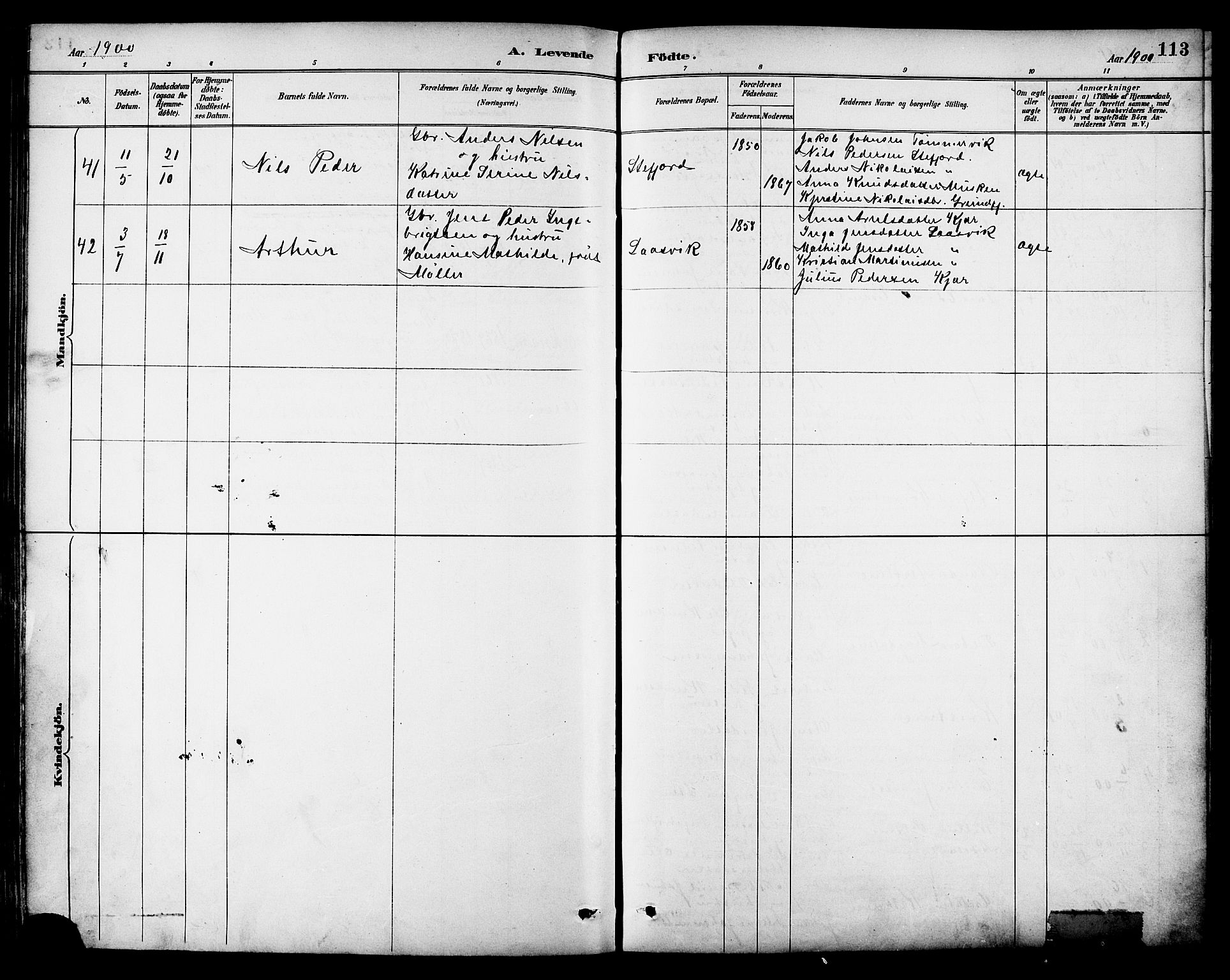 Ministerialprotokoller, klokkerbøker og fødselsregistre - Nordland, AV/SAT-A-1459/861/L0869: Parish register (official) no. 861A04, 1889-1903, p. 113