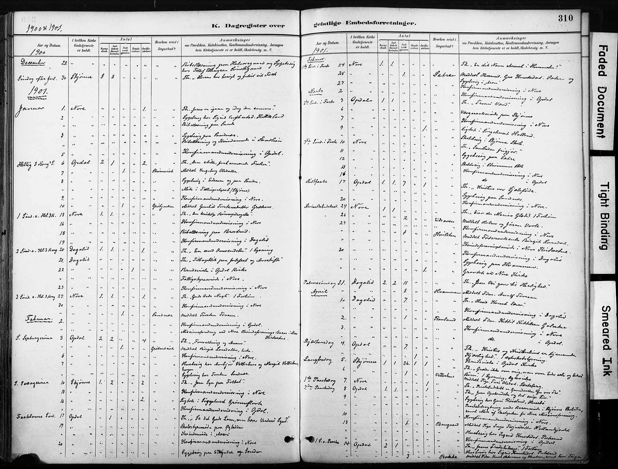 Nore kirkebøker, AV/SAKO-A-238/F/Fb/L0002: Parish register (official) no. II 2, 1886-1906, p. 310