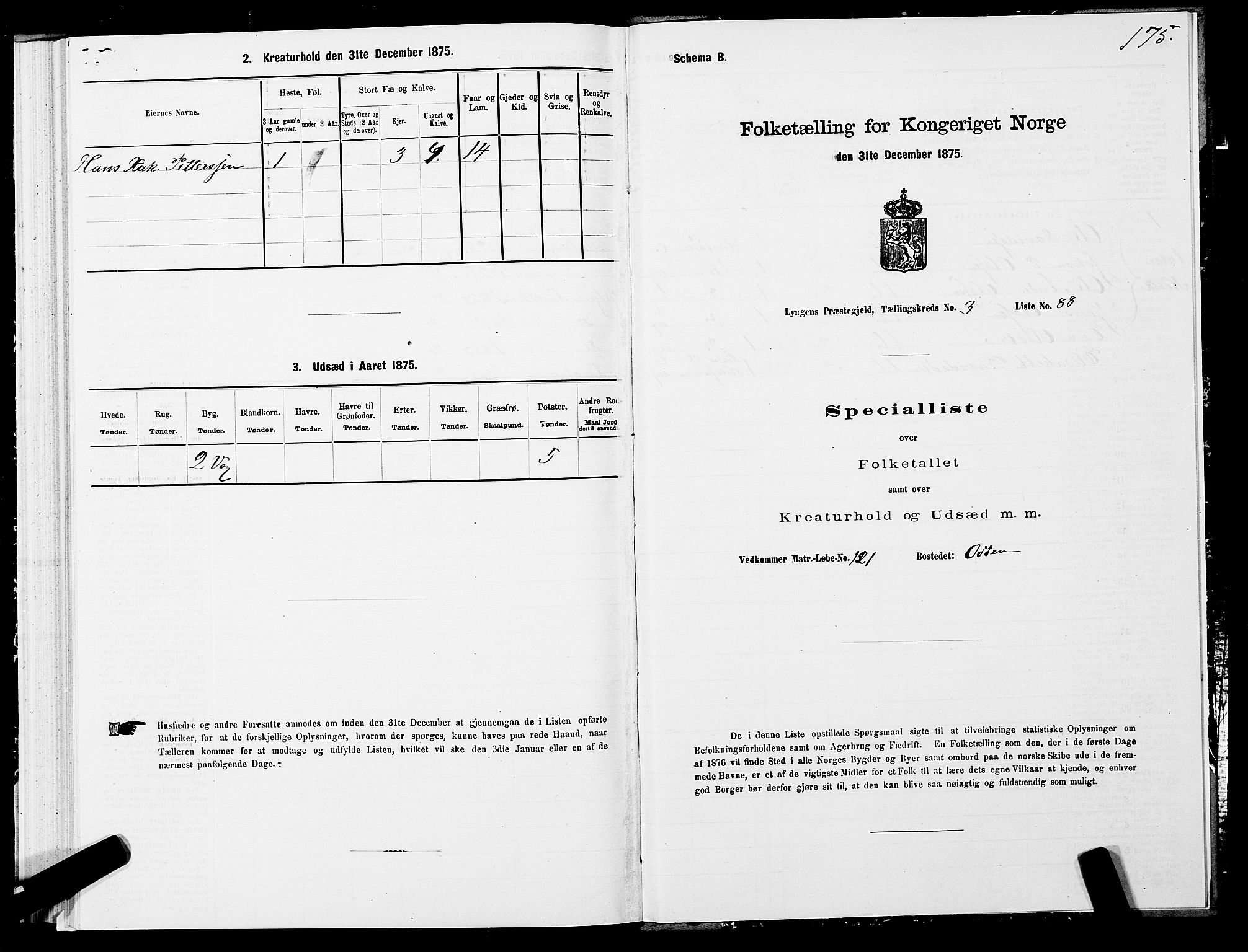 SATØ, 1875 census for 1938P Lyngen, 1875, p. 3175