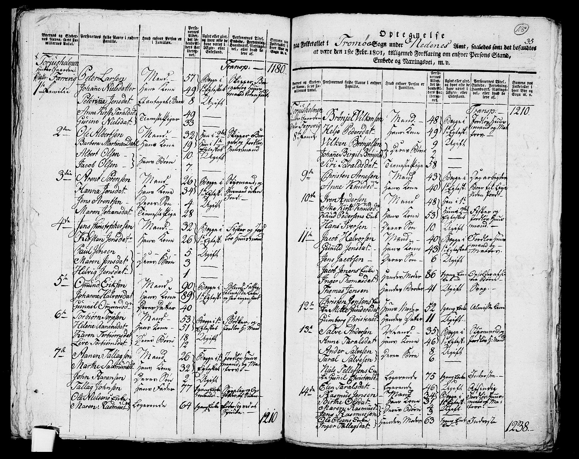 RA, 1801 census for 0918P Austre Moland, 1801, p. 114b-115a