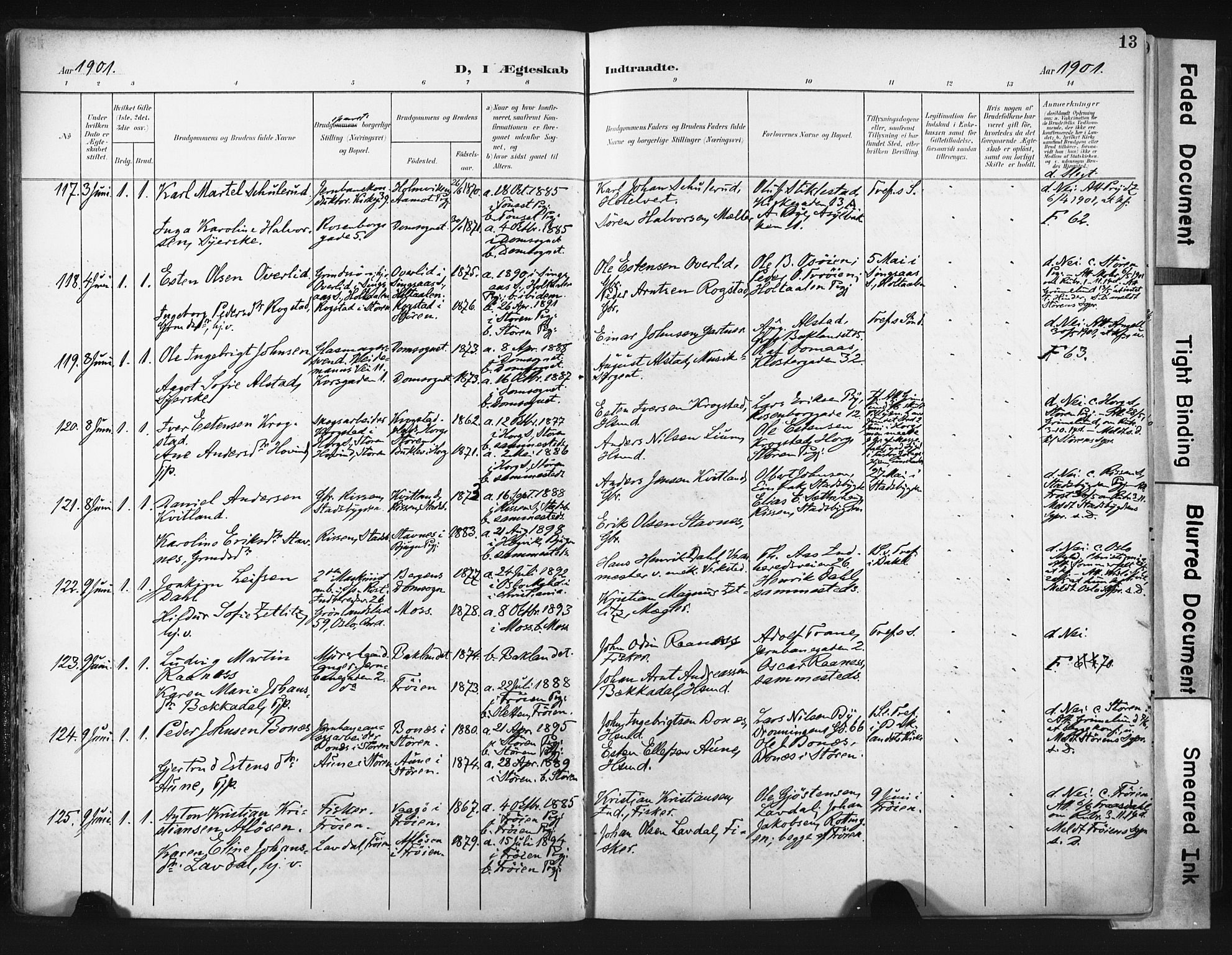 Ministerialprotokoller, klokkerbøker og fødselsregistre - Sør-Trøndelag, SAT/A-1456/604/L0201: Parish register (official) no. 604A21, 1901-1911, p. 13