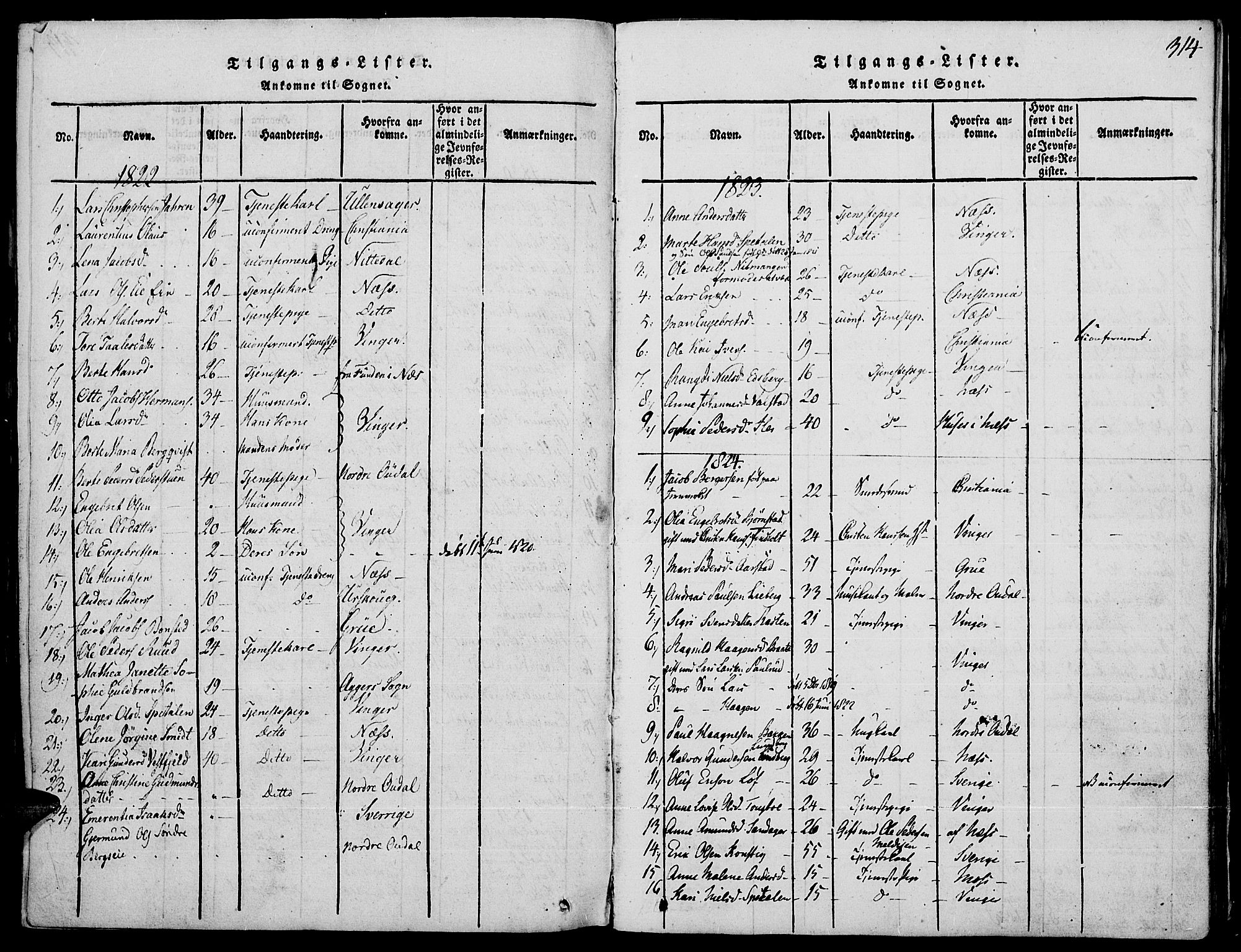 Strøm-Odalen prestekontor, AV/SAH-PREST-028/H/Ha/Haa/L0006: Parish register (official) no. 6, 1814-1850, p. 314