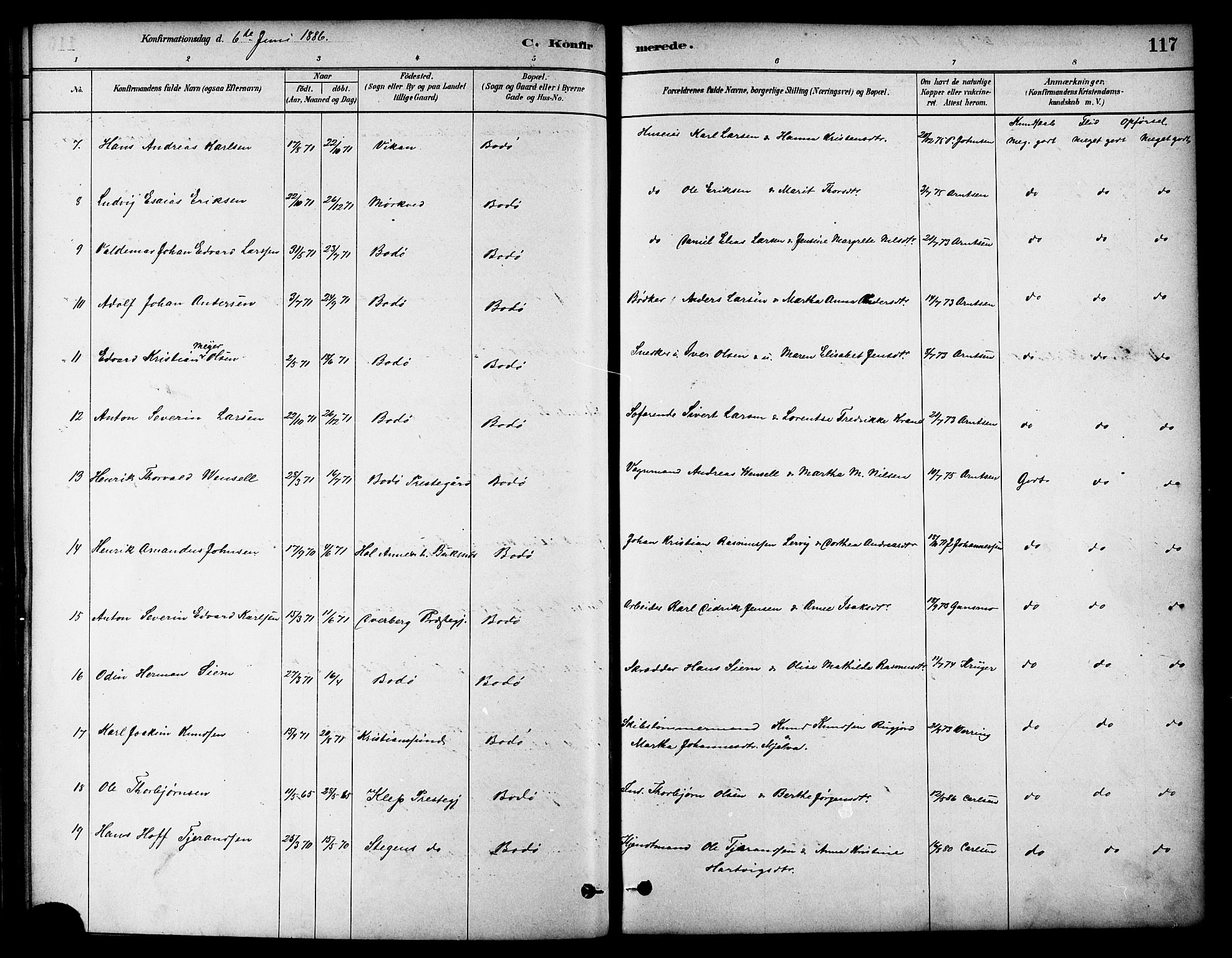 Ministerialprotokoller, klokkerbøker og fødselsregistre - Nordland, AV/SAT-A-1459/801/L0030: Parish register (copy) no. 801C05, 1879-1887, p. 117