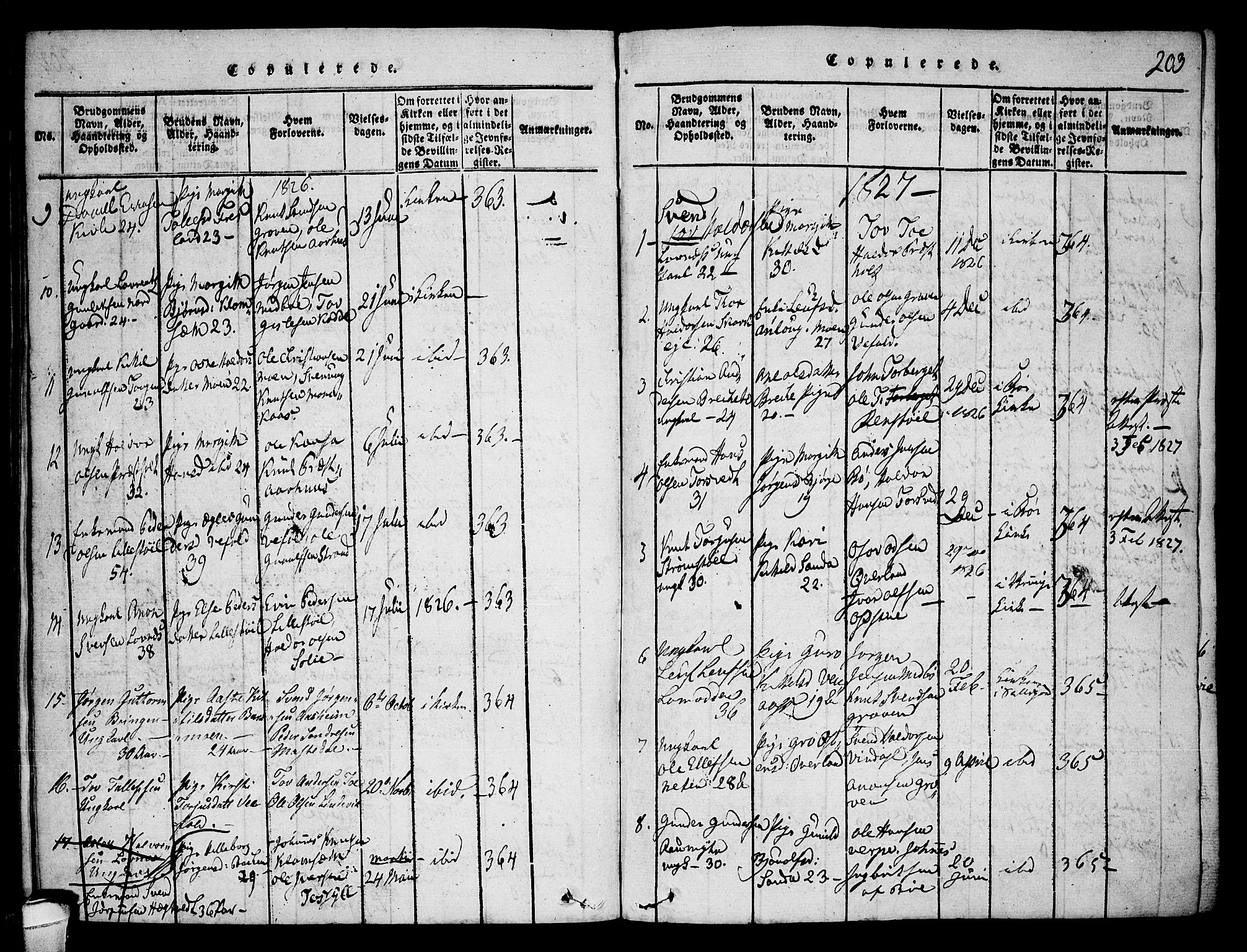 Seljord kirkebøker, SAKO/A-20/F/Fa/L0010: Parish register (official) no. I 10, 1815-1831, p. 203