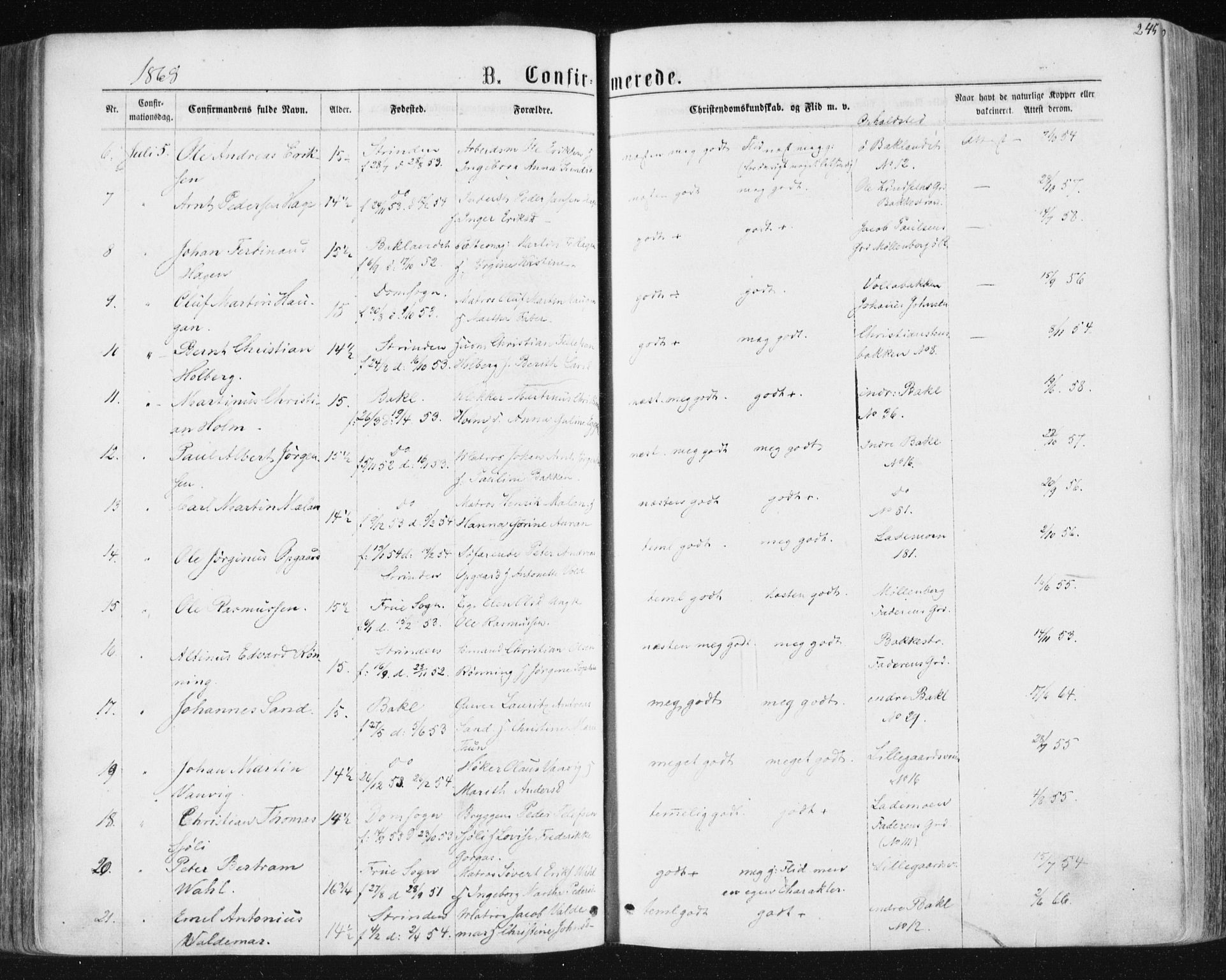 Ministerialprotokoller, klokkerbøker og fødselsregistre - Sør-Trøndelag, SAT/A-1456/604/L0186: Parish register (official) no. 604A07, 1866-1877, p. 245
