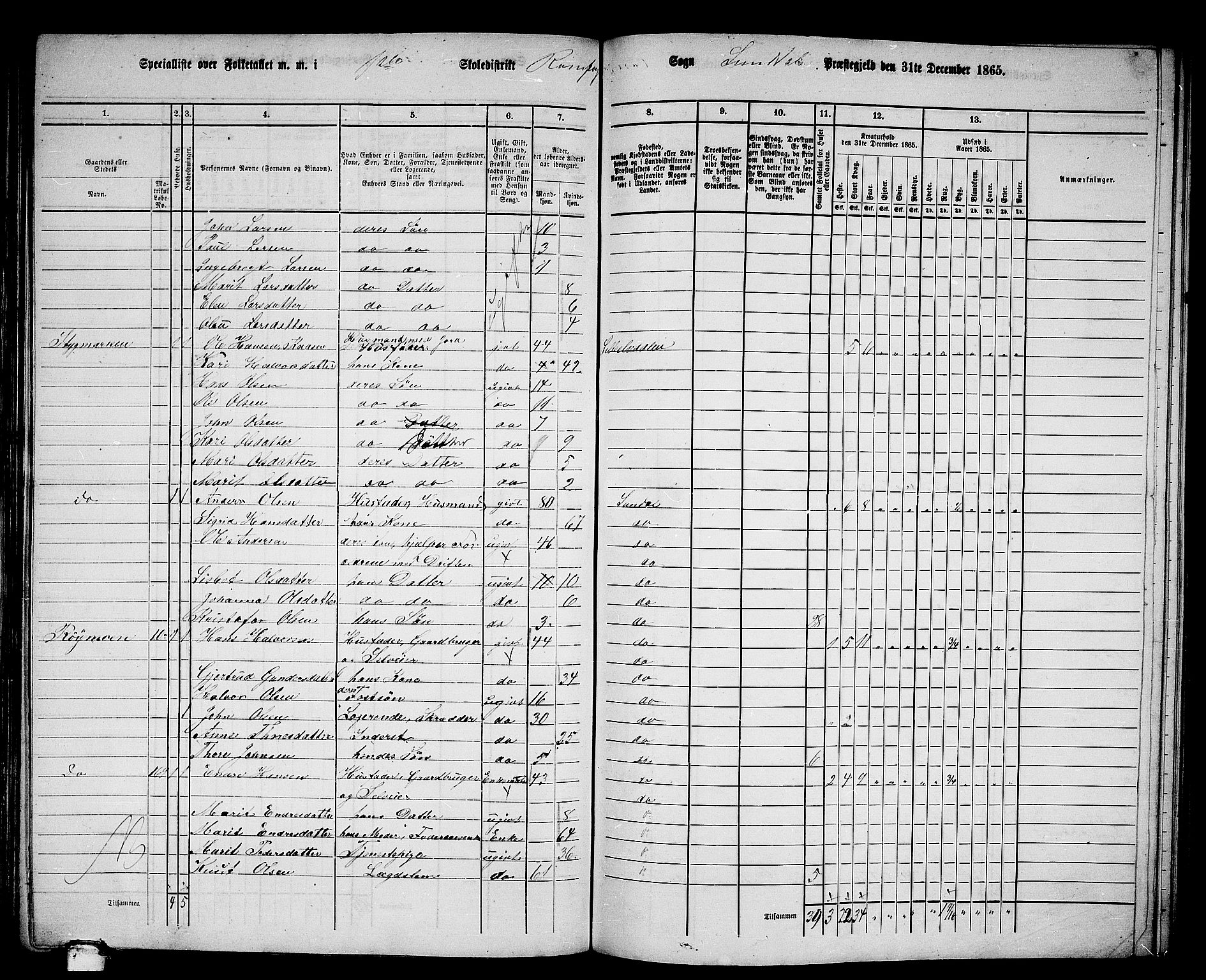 RA, 1865 census for Sunndal, 1865, p. 14