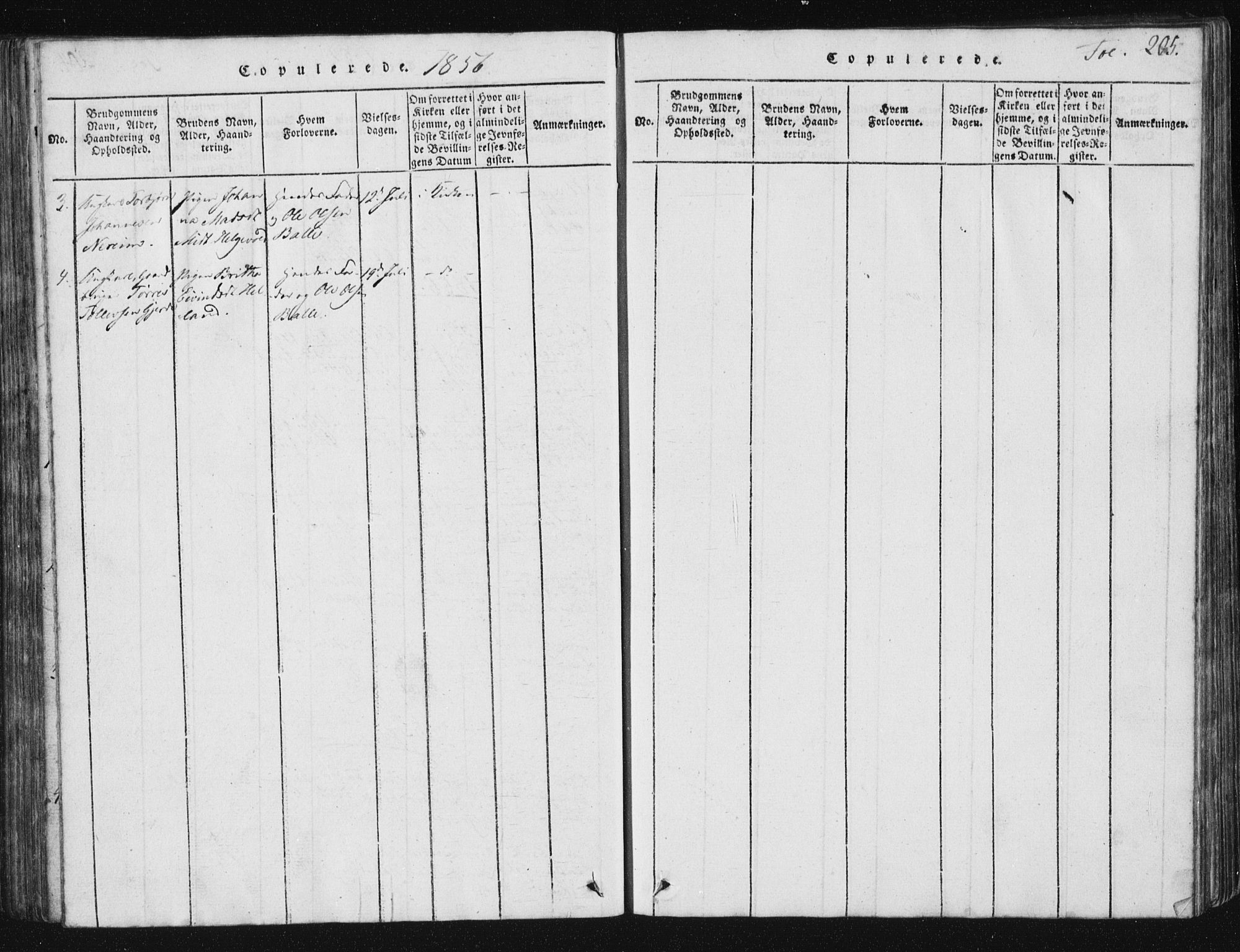 Vikedal sokneprestkontor, SAST/A-101840/01/V: Parish register (copy) no. B 2, 1816-1863, p. 205