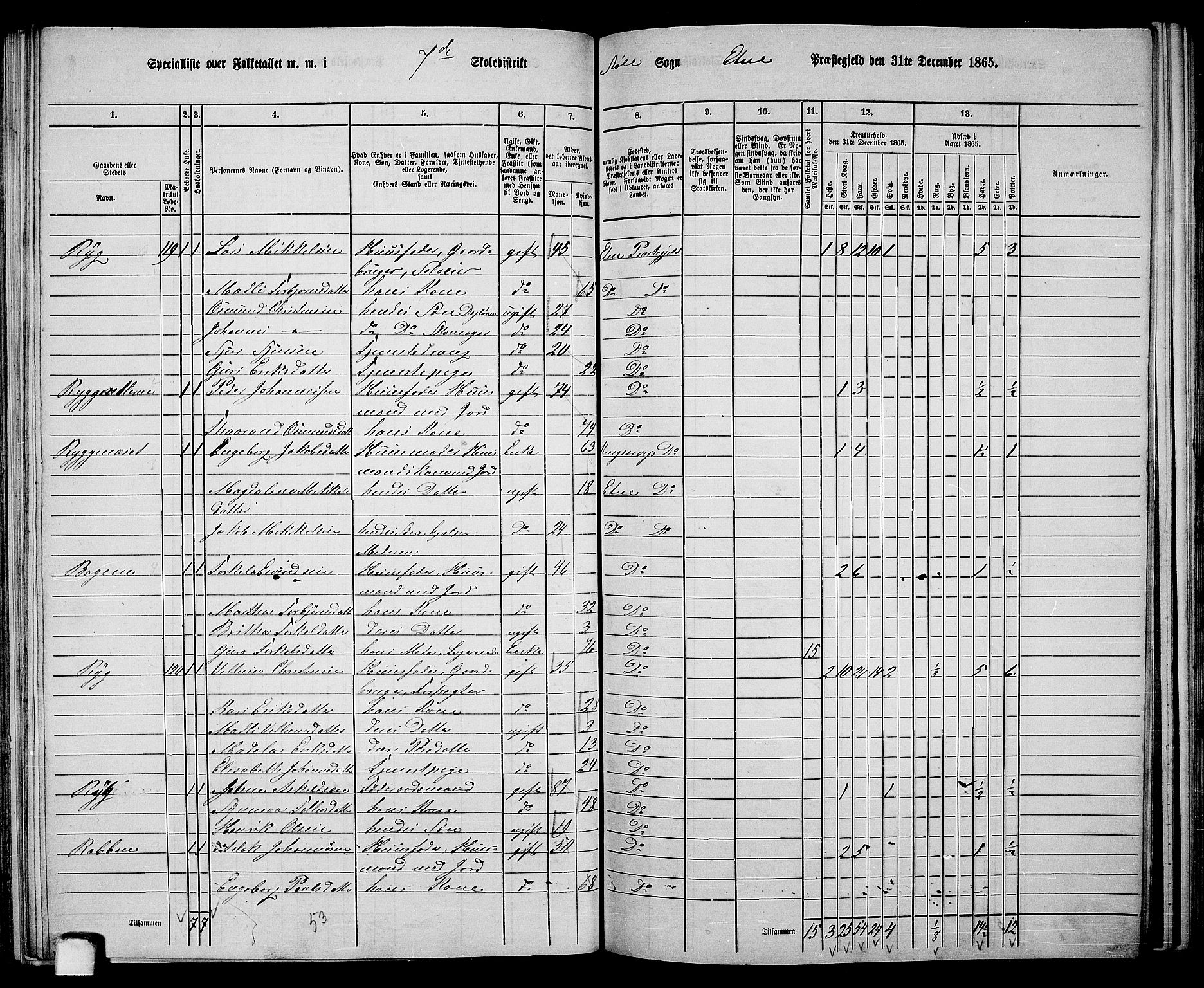 RA, 1865 census for Etne, 1865, p. 103