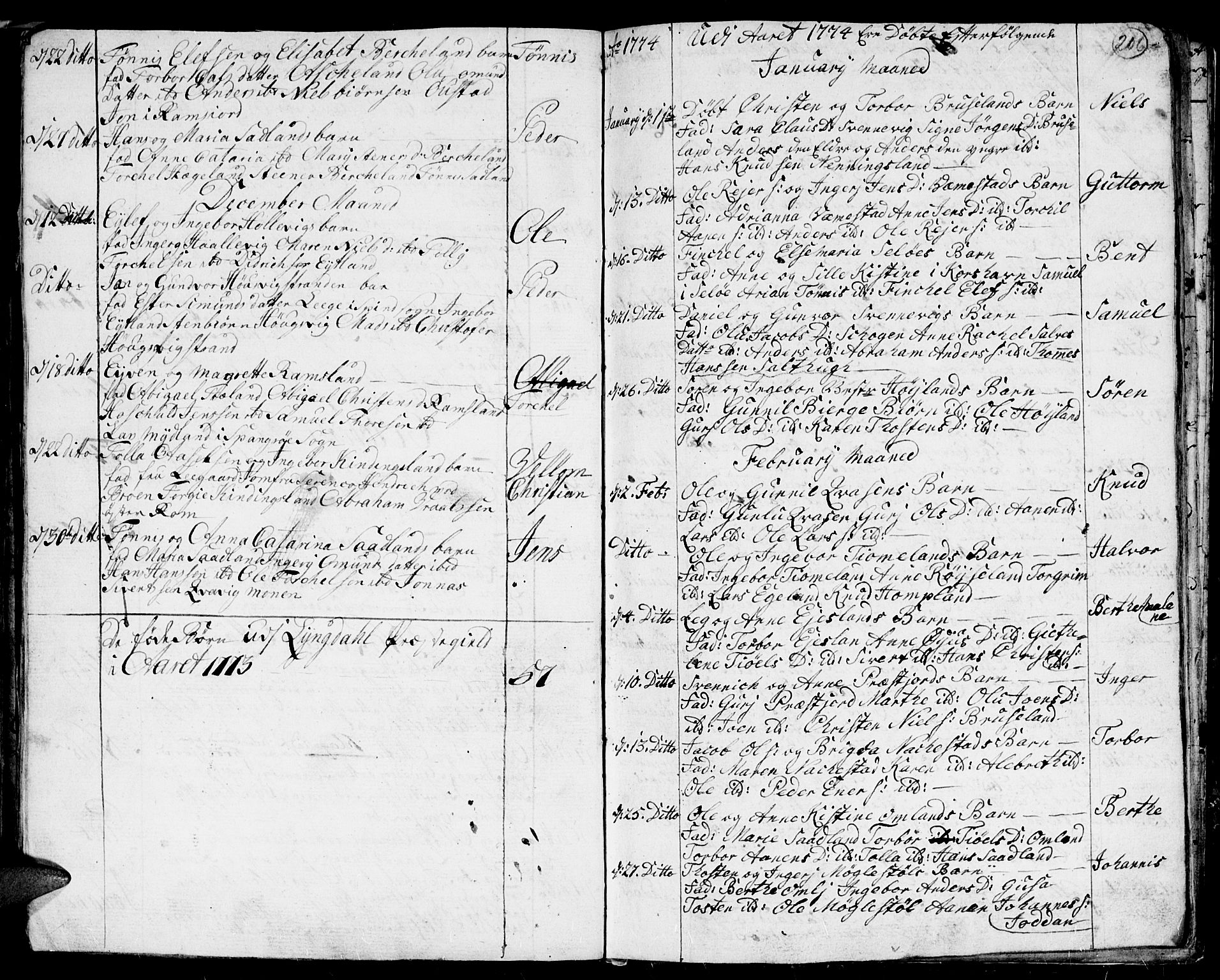 Lyngdal sokneprestkontor, SAK/1111-0029/F/Fa/Fac/L0001: Parish register (official) no. A 1, 1727-1779, p. 206