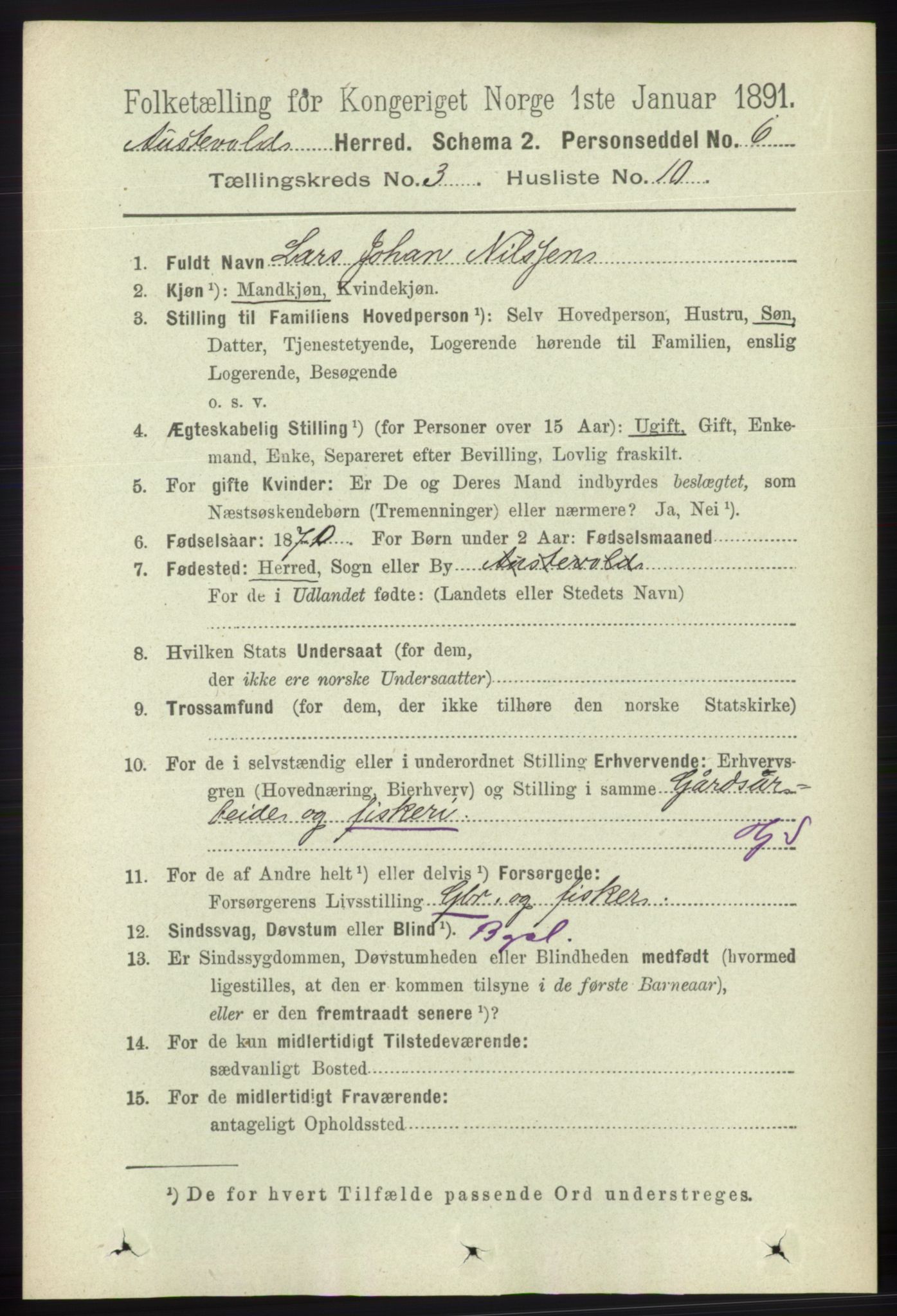 RA, 1891 census for 1244 Austevoll, 1891, p. 1020