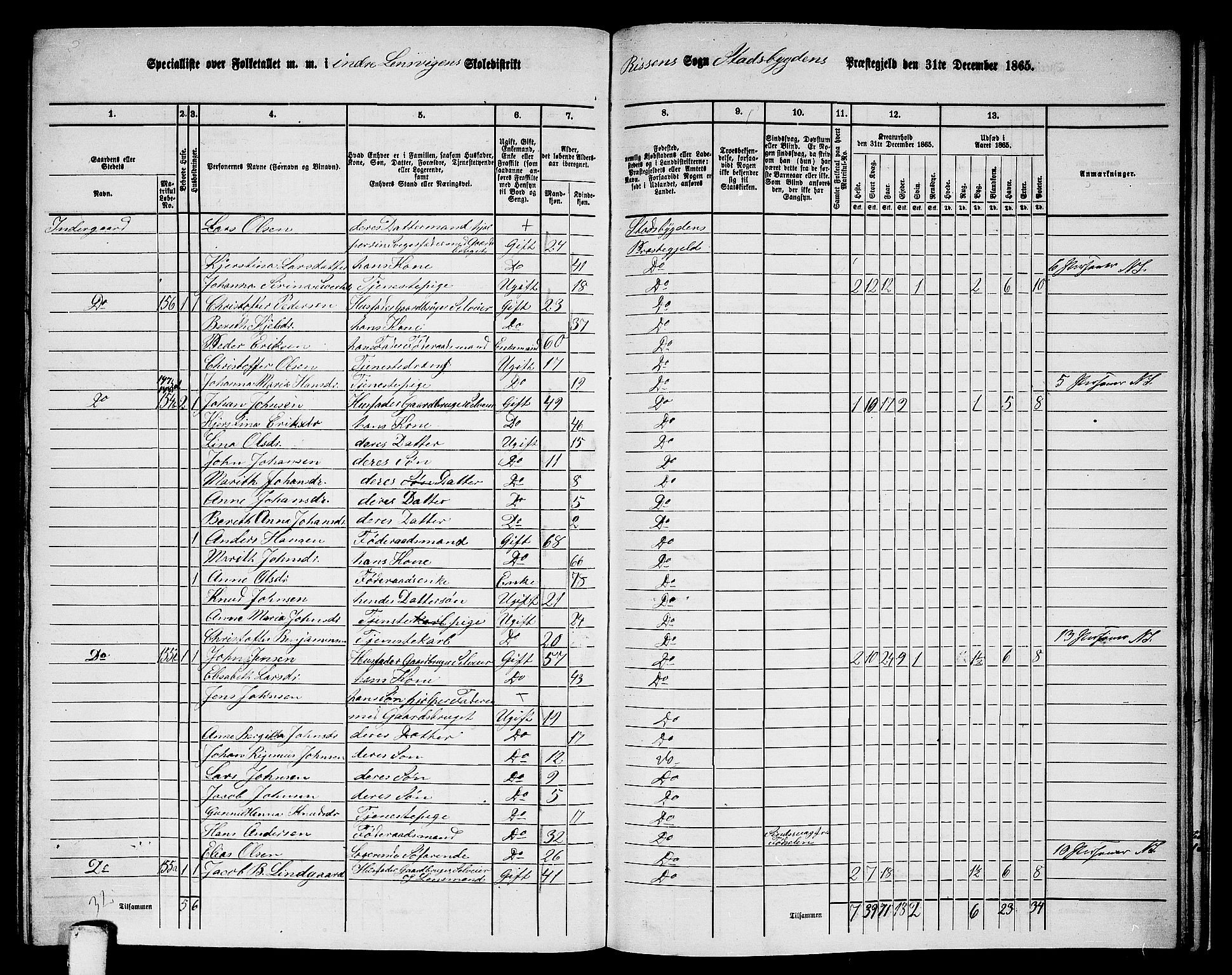 RA, 1865 census for Stadsbygd, 1865, p. 193