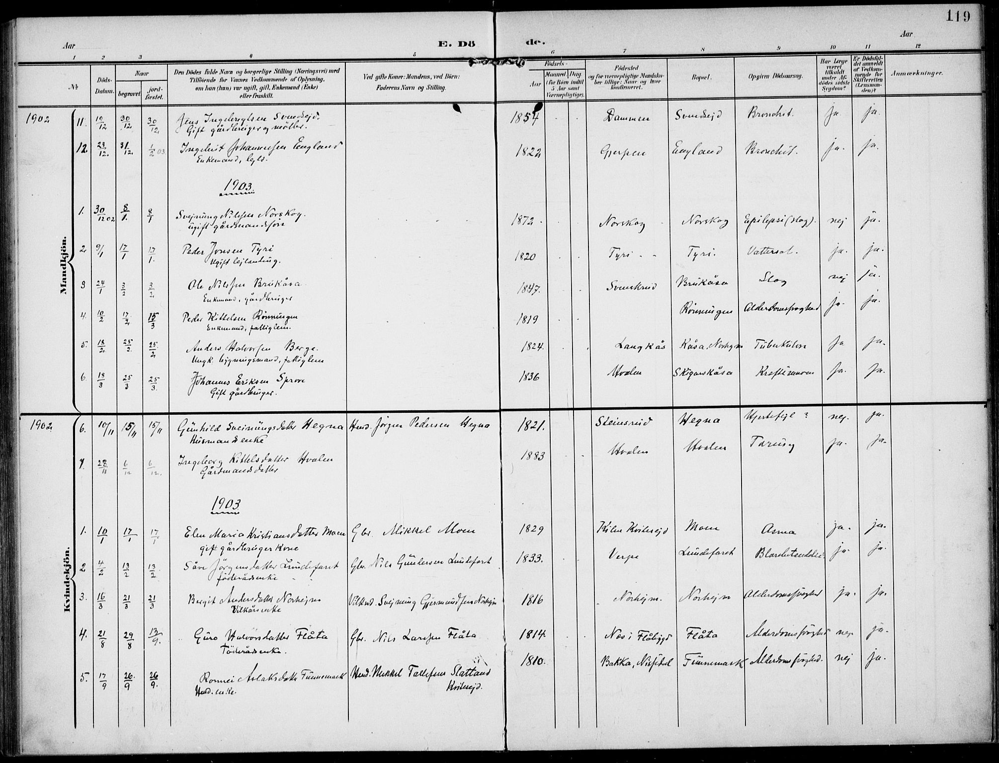 Lunde kirkebøker, SAKO/A-282/F/Fa/L0004: Parish register (official) no. I 4, 1902-1913, p. 119